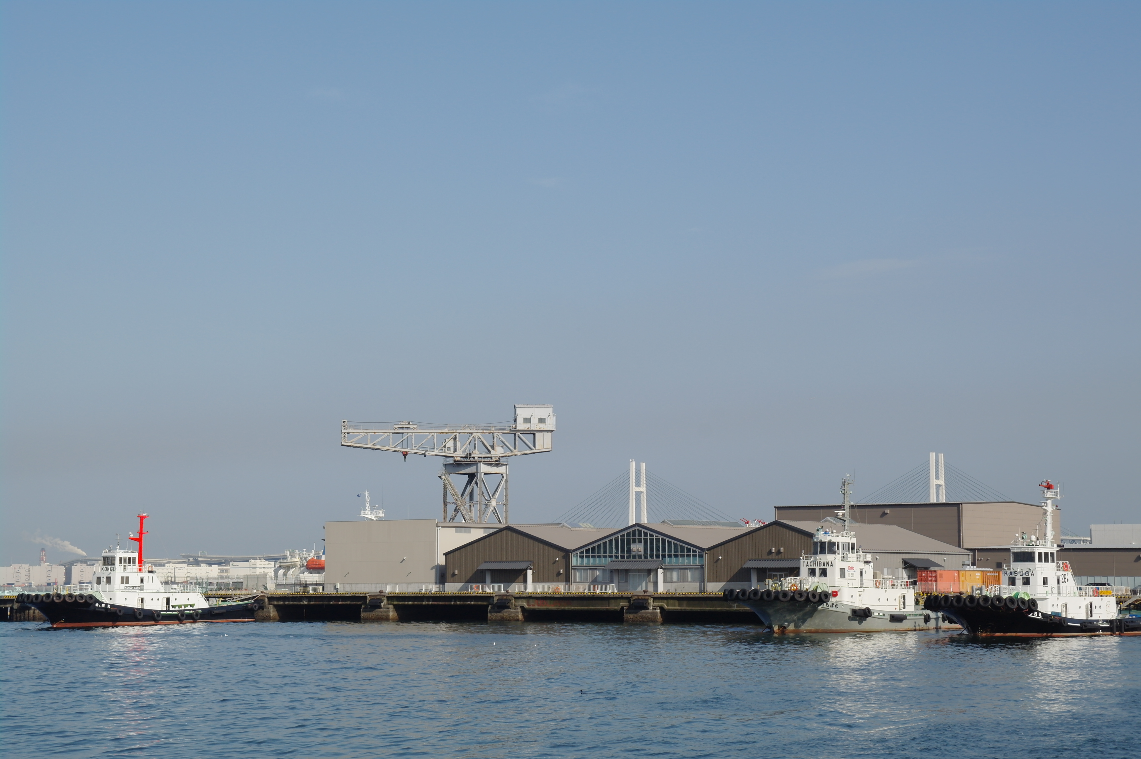 <b>NX10 / SAMSUNG ZOOM LENS 18-55mm F3.5-5.6 OIS / 約3.6MB / 4,592×3,056 / 1/250秒 / F11 / 0EV / ISO200 / WB:Auto / 45mm</b>