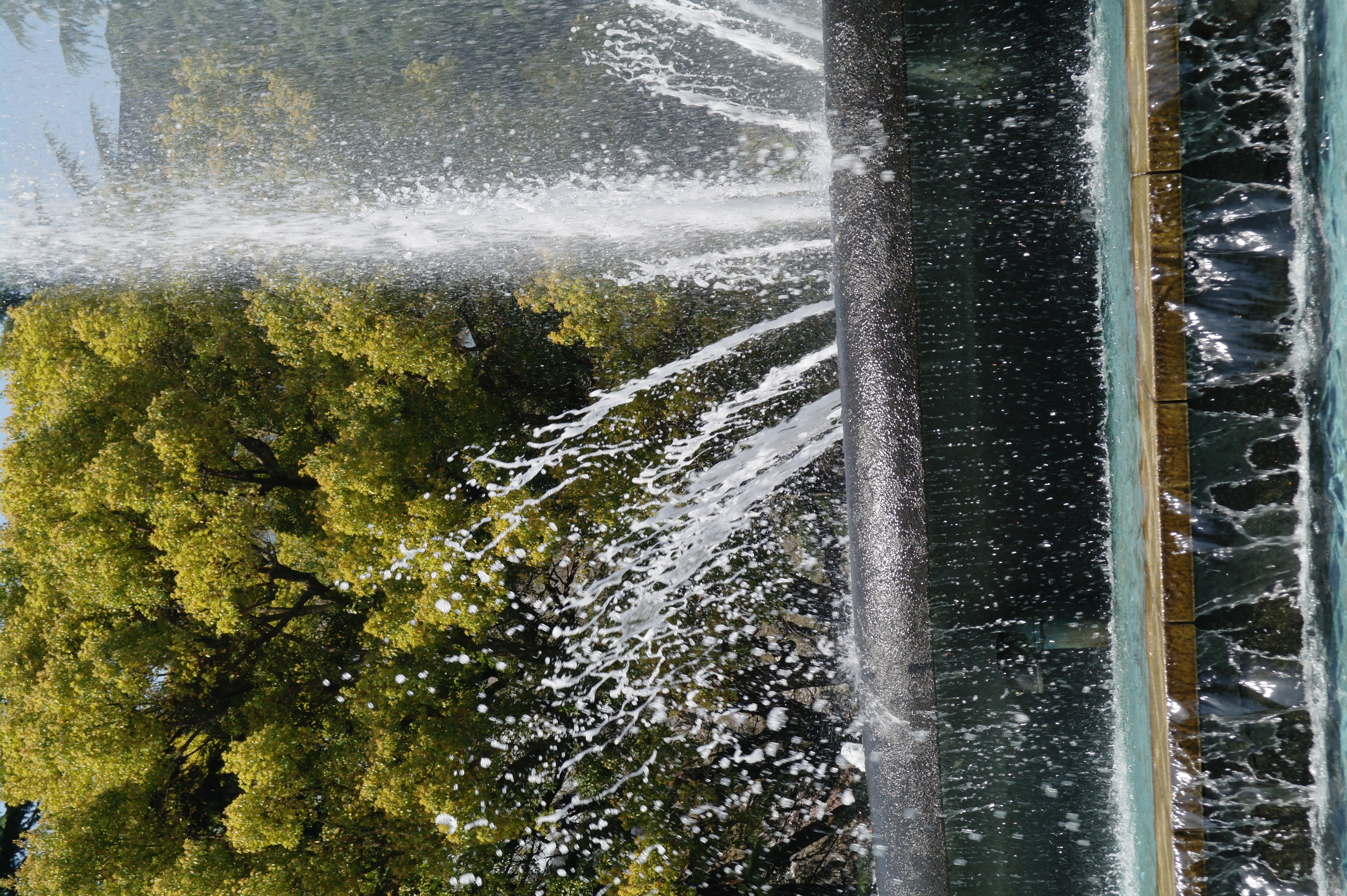 <b>NX10 / SAMSUNG ZOOM LENS 50-200mm F4-5.6 ED OIS / 約6.5MB / 3,056×4,592 / 1/180秒 / F10 / 0EV / ISO200 / WB:Daylight / 55mm</b>