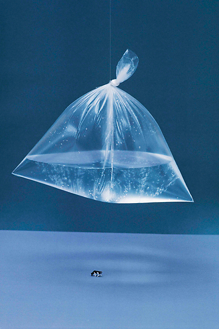 <b>(c)与田弘志</b>