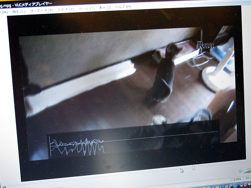 <b>映像とともに加速度センサーの出力（画面下のグラフ）を記録できる</b>