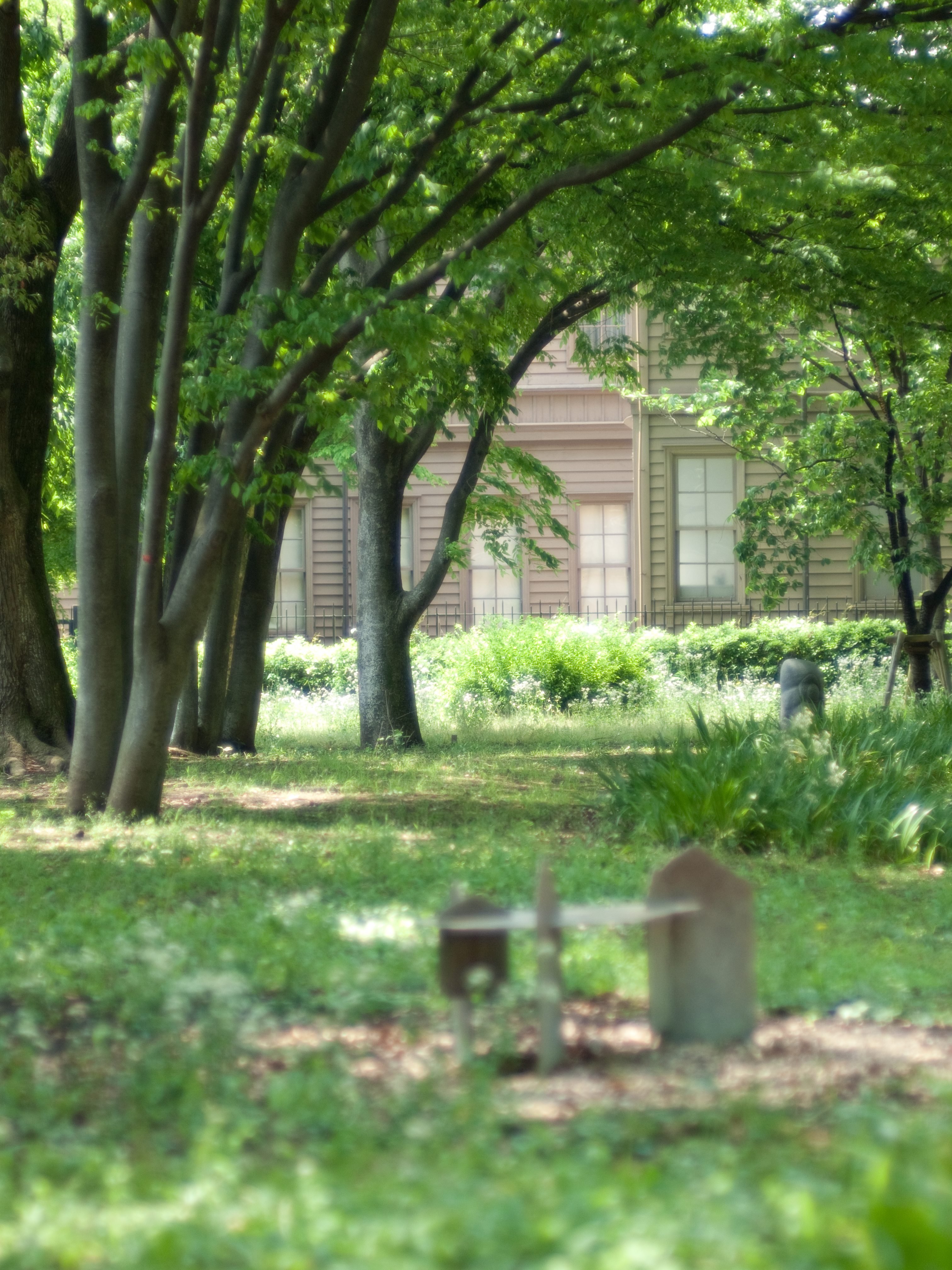 <b>E-P2 / プラナー T* 85mm F1.4 AEG / 4,032×3,024 / 1/640秒 / F1.4 / +0.3EV / ISO200 / WB:オート / 85mm</b>