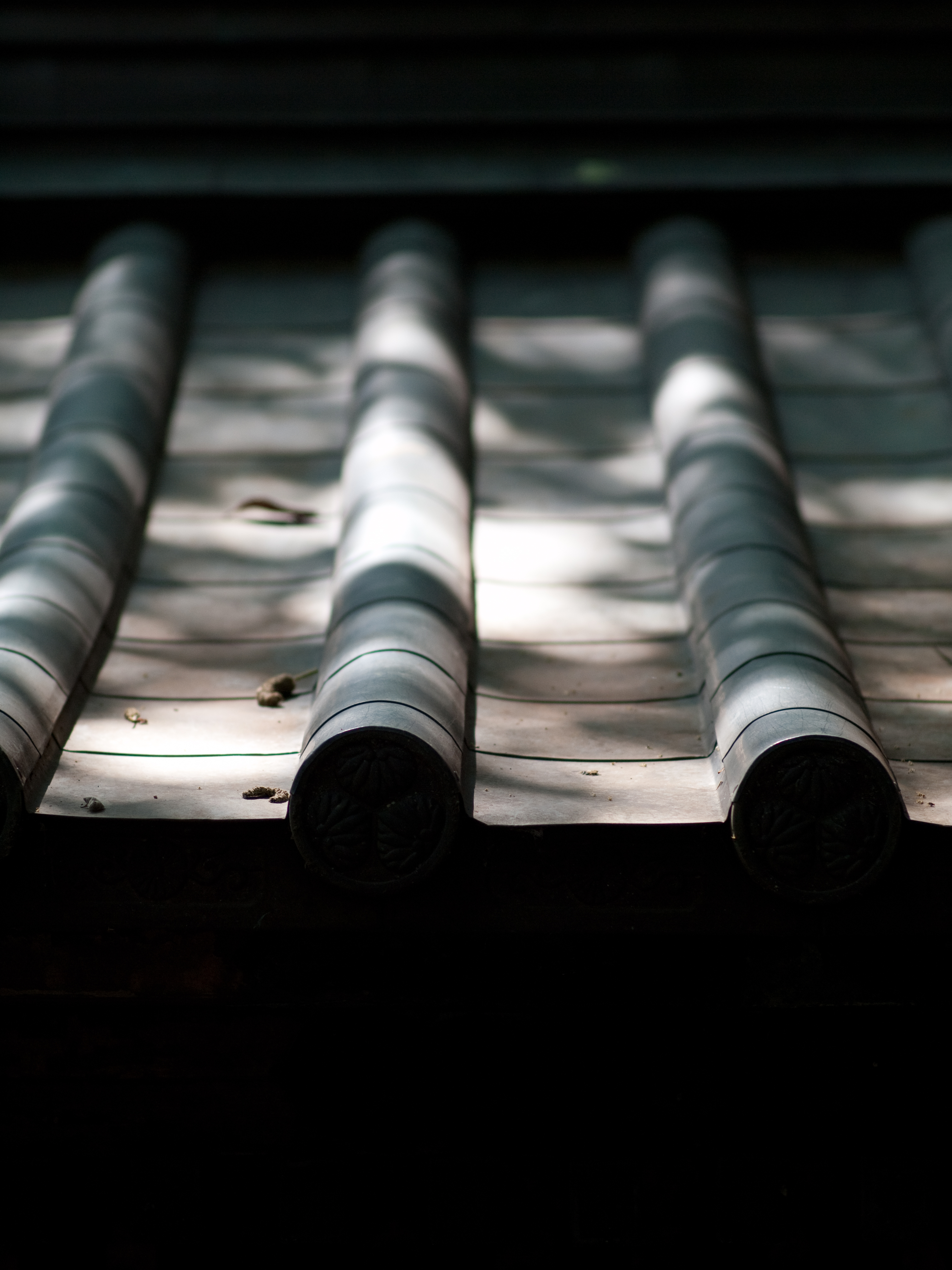 <b>E-P2 / プラナー T* 85mm F1.4 AEG / 4,032×3,024 / 1/400秒 / F2 / +0.7EV / ISO200 / WB:オート / 85mm</b>