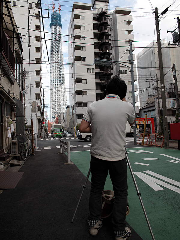 <b>向島周辺では路地からまっすぐにツリーが見えるポイントなどがある</b>