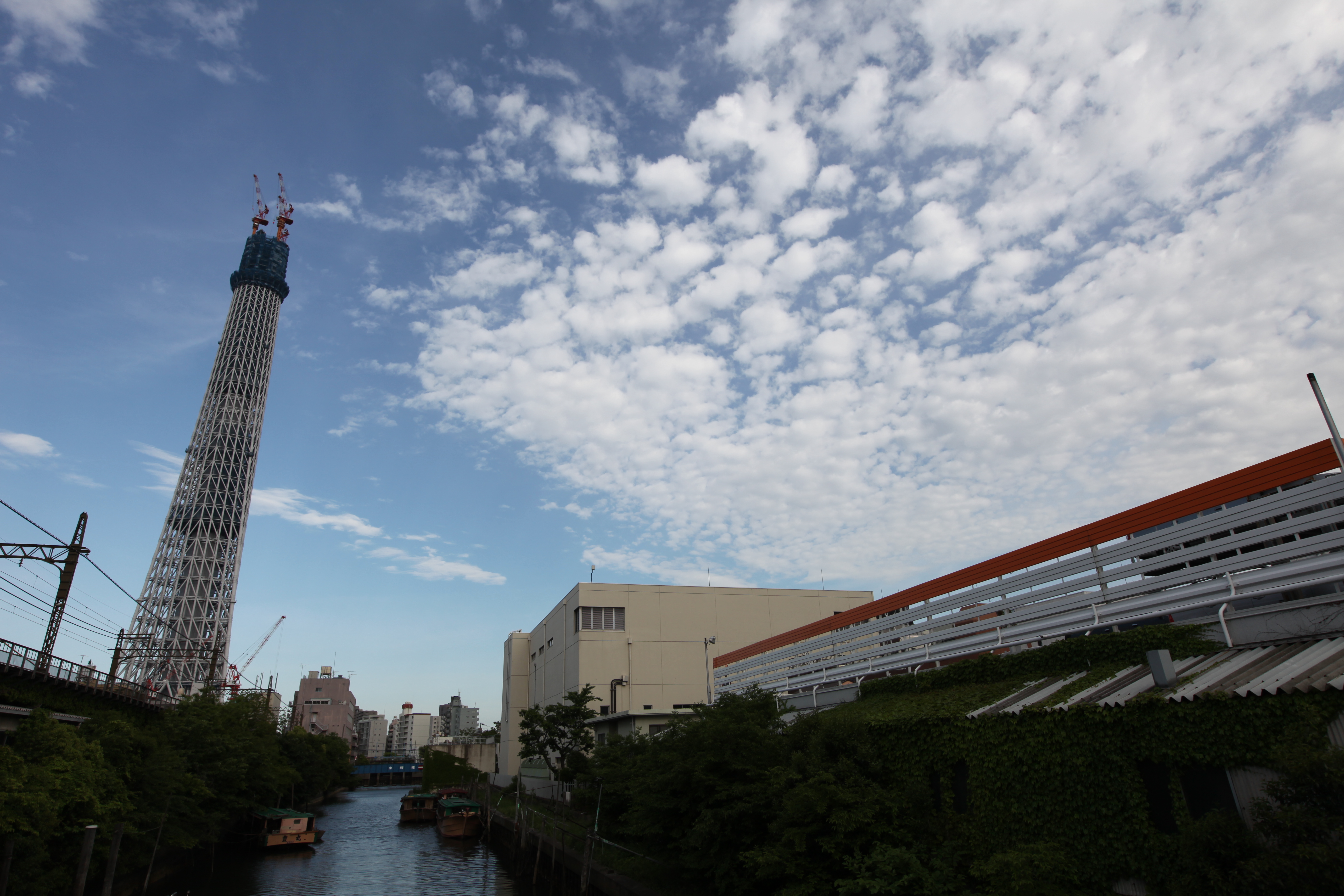 <b>EOS 5D Mark II / EF 16-35mm F2.8 L II USM / 5,616×3,744 / 1/200秒 / F9 / +0.7EV / ISO100 / 絞り優先AE / WB:オート / 20mm</b>