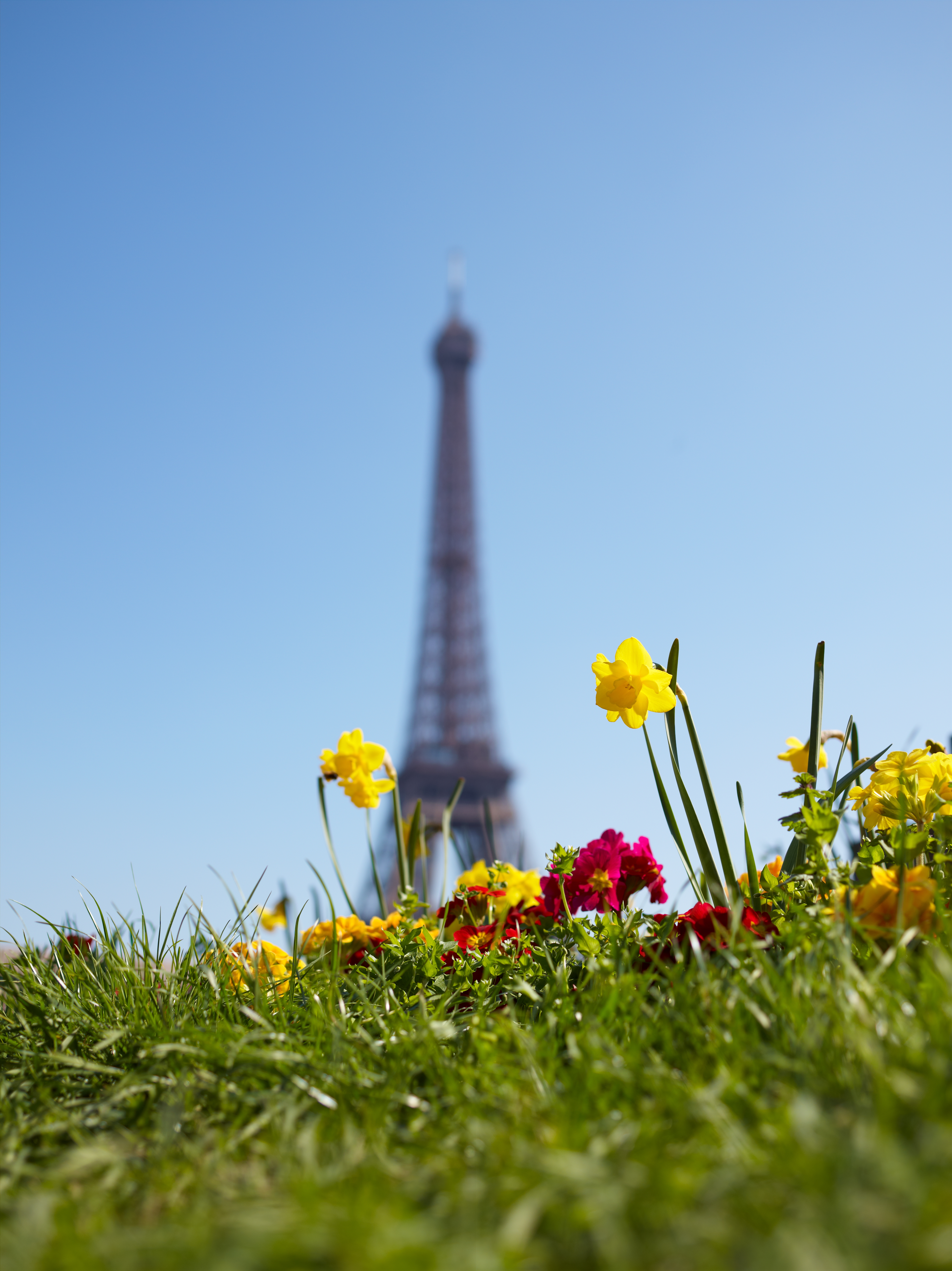 <b>P40+ / シュナイダークロイツナッハAF 55mm F2.8 LS / 約19.4MB / 5,484×7,320 / 1/700秒 / F4 / +0.3EV / ISO50 / 55mm</b>