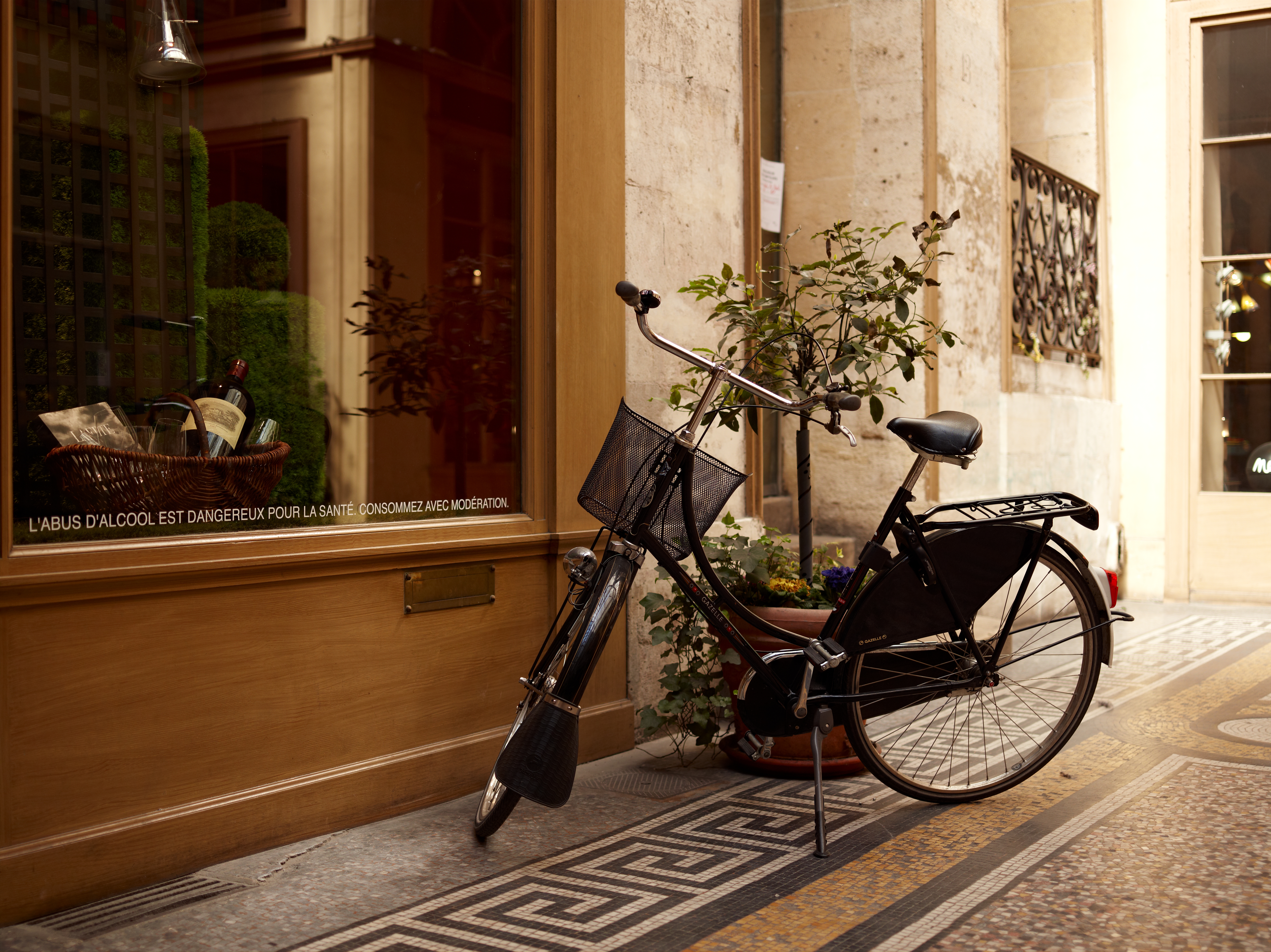 <b>P40+ / シュナイダークロイツナッハAF 55mm F2.8 LS / 約24.0MB / 7,320×5,484 / 1/90秒 / F3.2 / -0.7EV / ISO100 / 55mm</b>