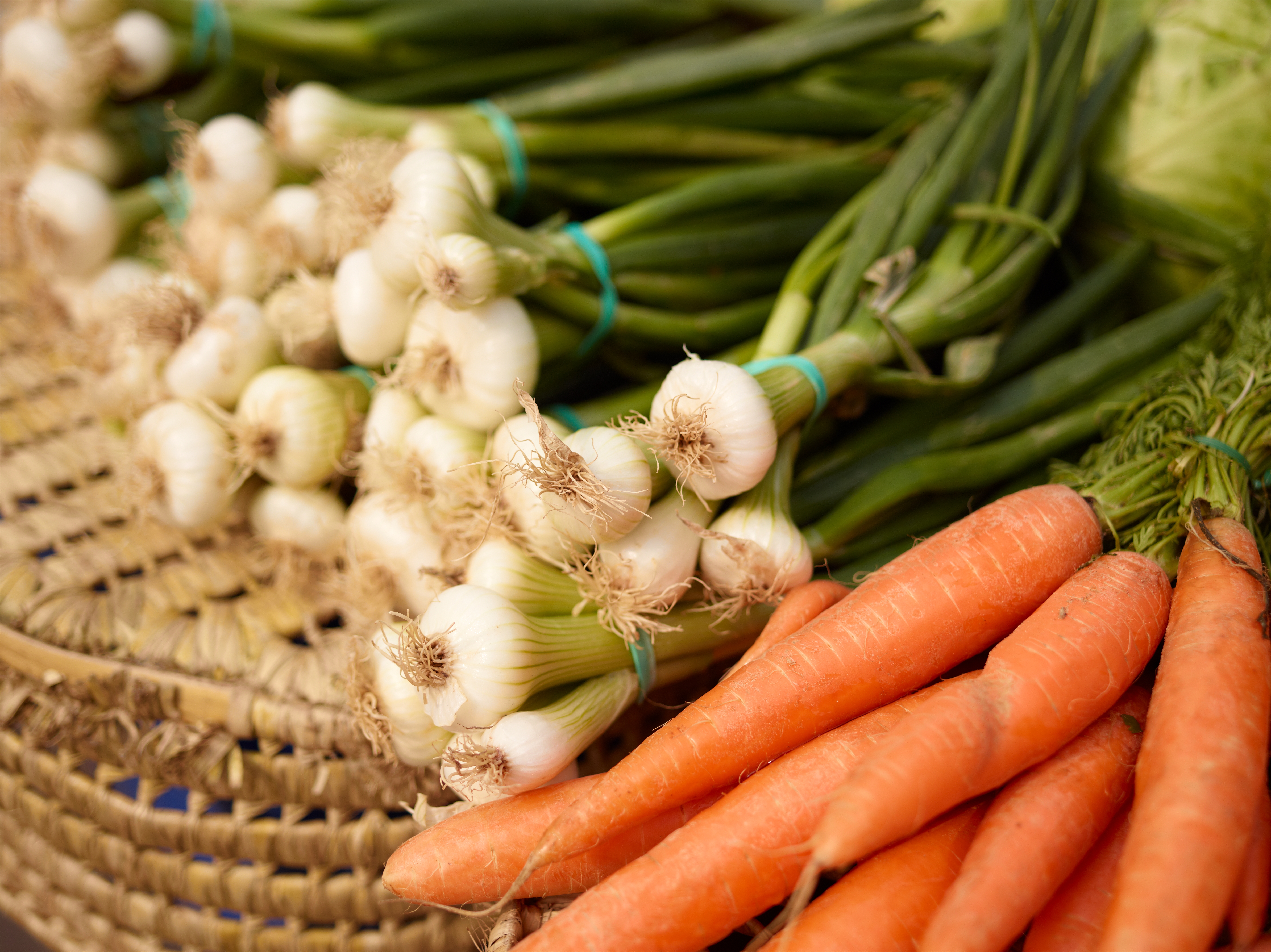 <b>P40+ / シュナイダークロイツナッハAF 55mm F2.8 LS / 約21.2MB / 7,320×5,484 / 1/2,000秒 / F3.2 / 0EV / ISO100 / 55mm</b>