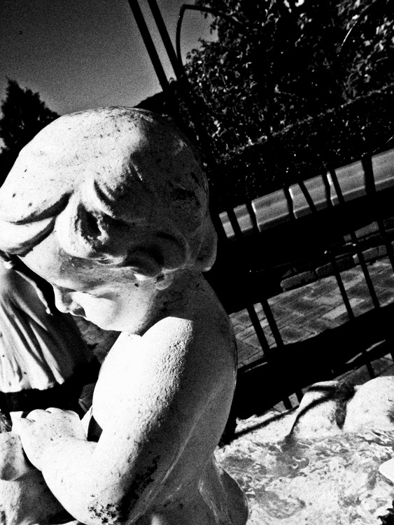 <b>（c）岩田栄二</b>