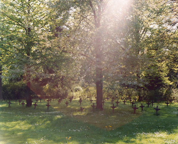 <b>（c）田尾沙織氏</b>