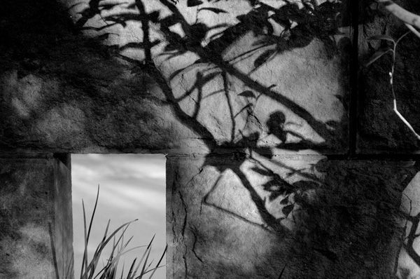 <b>（c）セリーン・ウー</b>