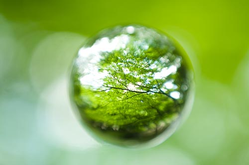 <b>宙玉レンズによる作例（いずれも上原ゼンジ氏提供）</b>