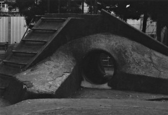 <b>(c)深尾憲英</b>