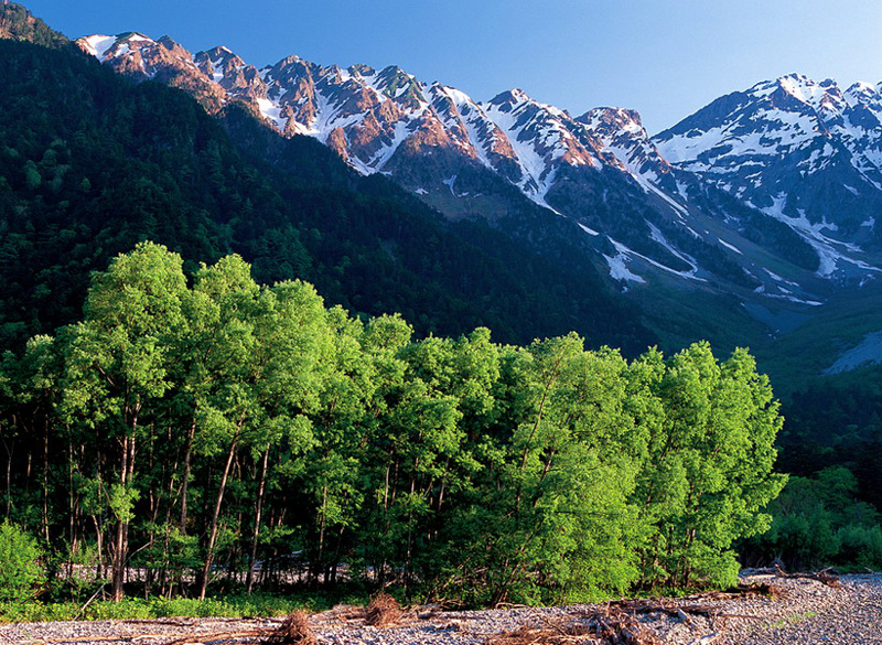 <b>(c)中西俊明</b>