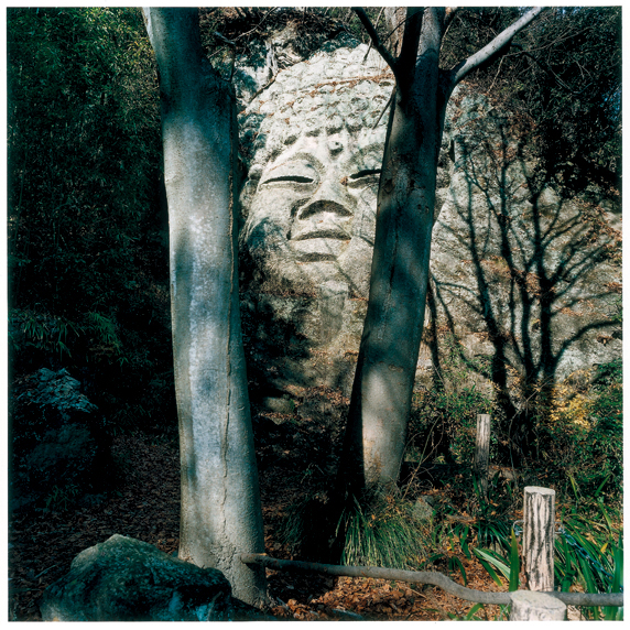 <b>(c)小林伸一郎</b>