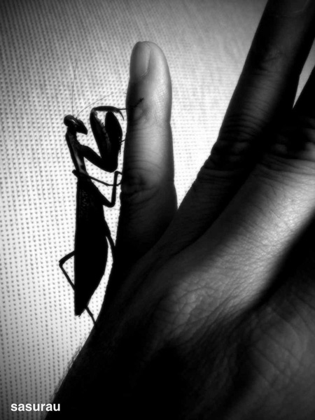 <b>(c)三井公一</b>