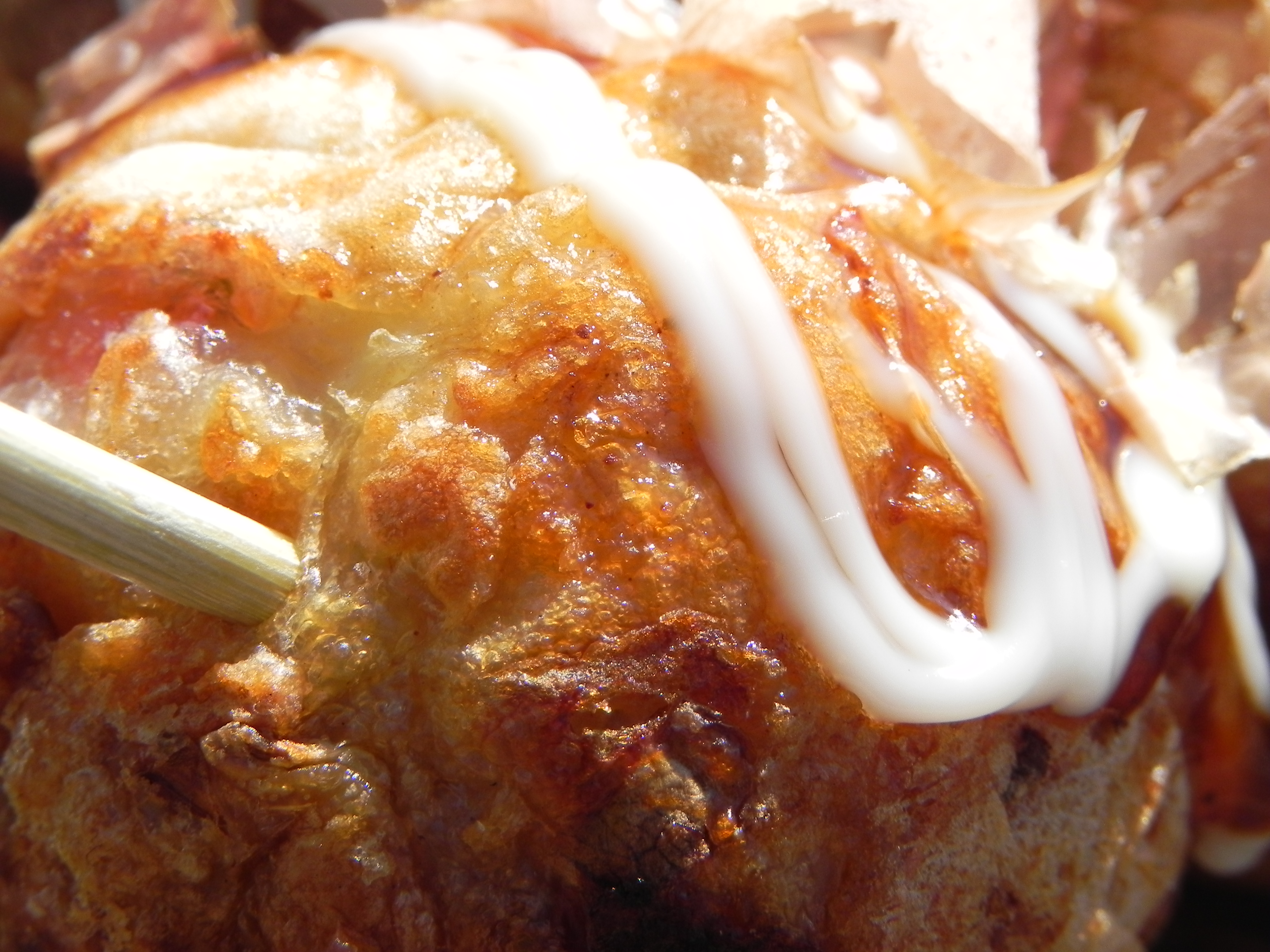 <b>望遠側<br>COOLPIX P100 / 3,648×2,736 / 1/337秒 / F6.3 / 0EV / ISO160 / プログラムAE / WB:オート / 18.8mm</b>