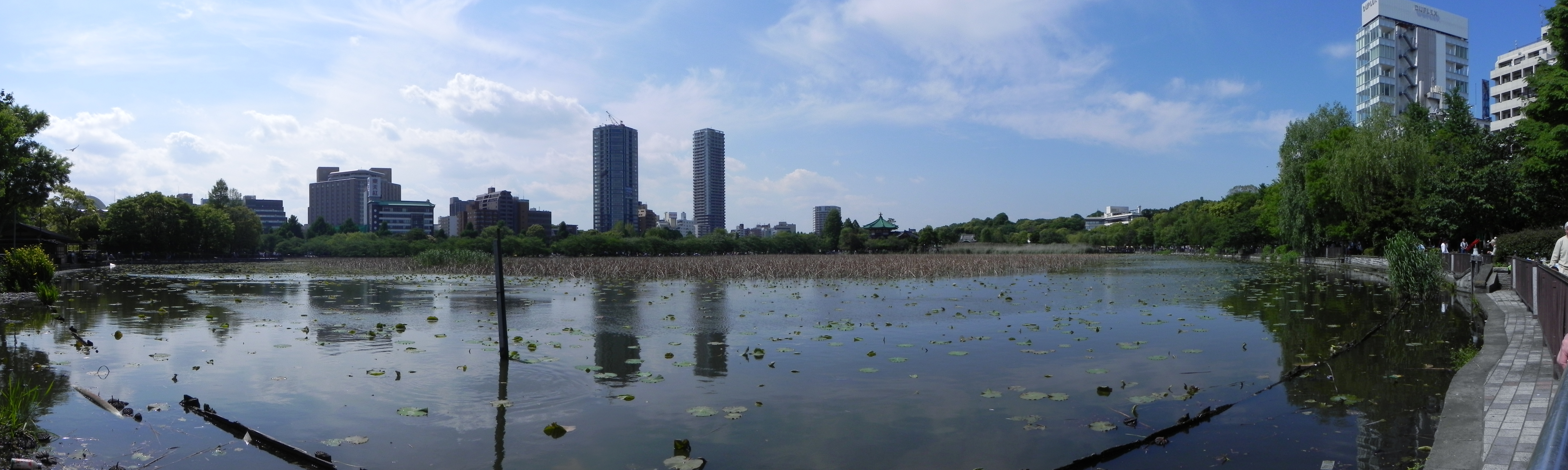 <b>COOLPIX P100 / 7,643×2,289</b>