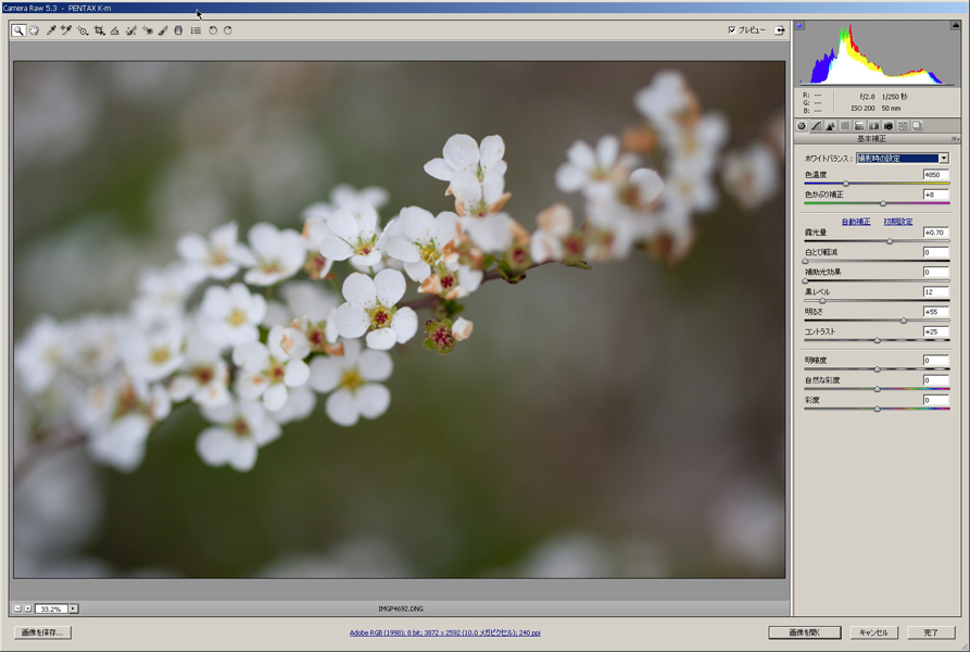 <b>Camera Raw（画像はバージョン5.3）</b>