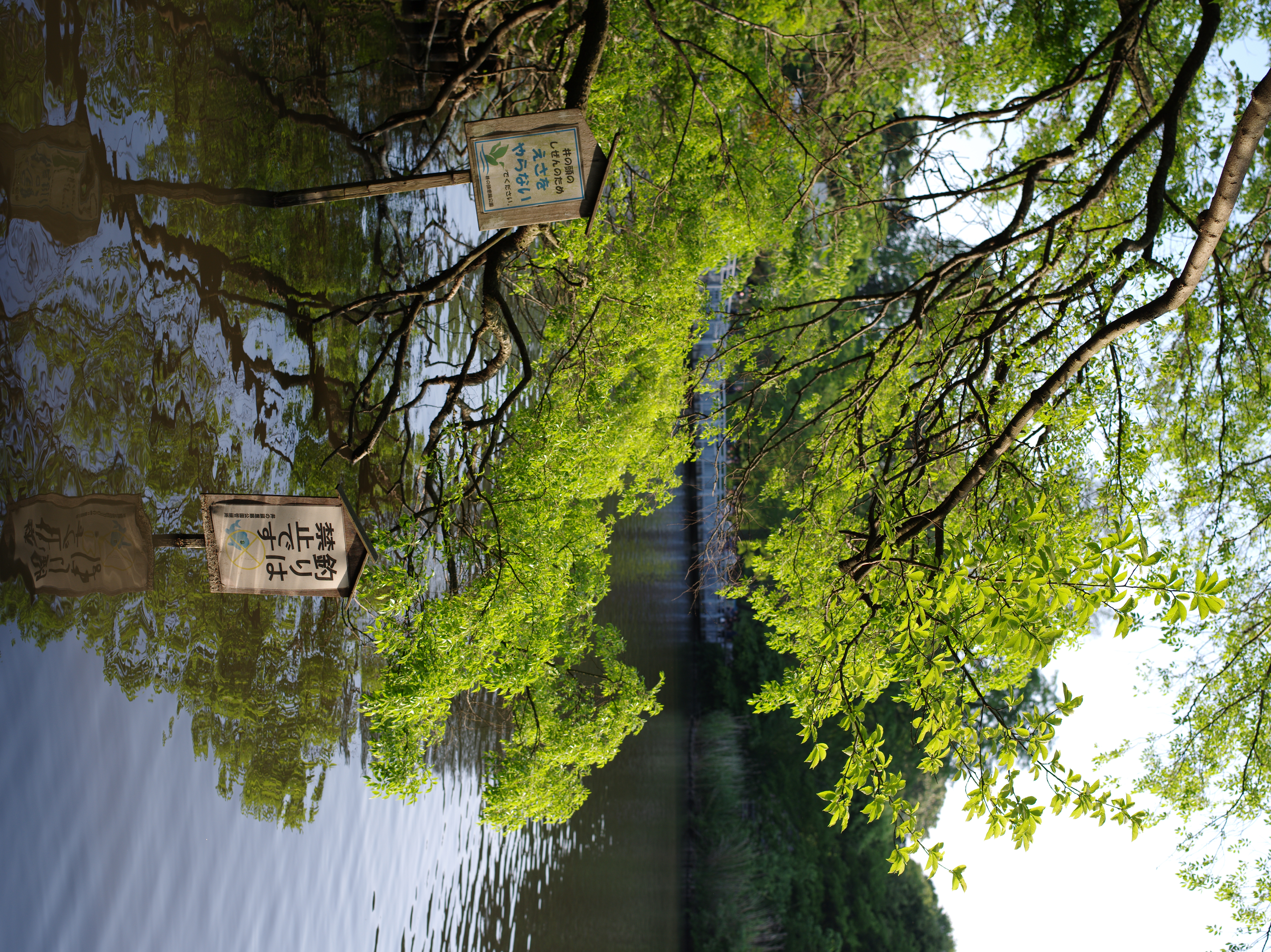 <b>オフ<br>645D / D FA 645 55mm F2.8 AL [IF] SDM AW / 約17.7MB / 5,440×7,264 / 1/250秒 / F5.6 / +0.3EV / ISO200 / WB:オート</b>