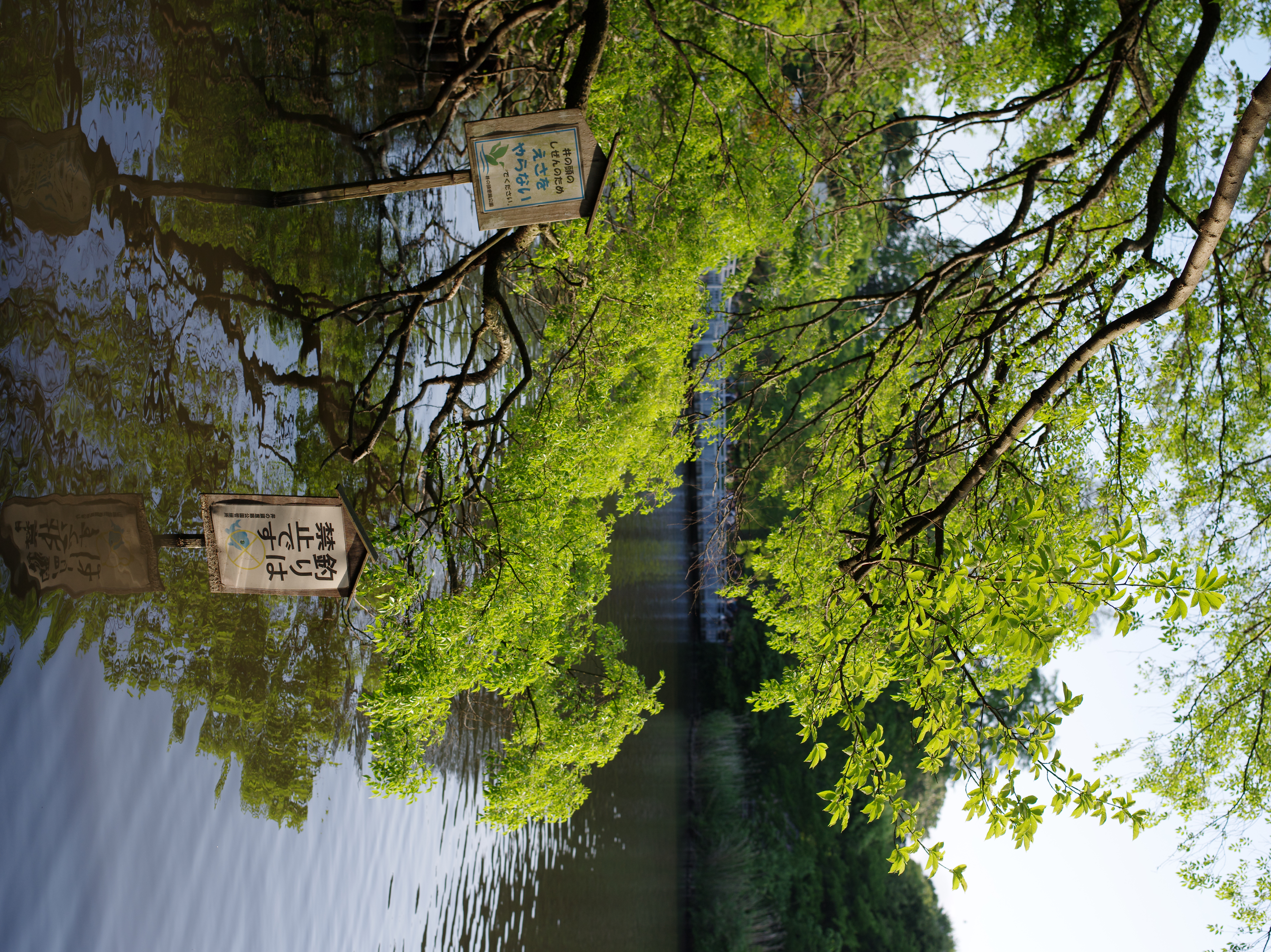 <b>オン<br>645D / D FA 645 55mm F2.8 AL [IF] SDM AW / 約17.8MB / 5,440×7,264 / 1/500秒 / F5.6 / +0.3EV / ISO400 / WB:オート</b>