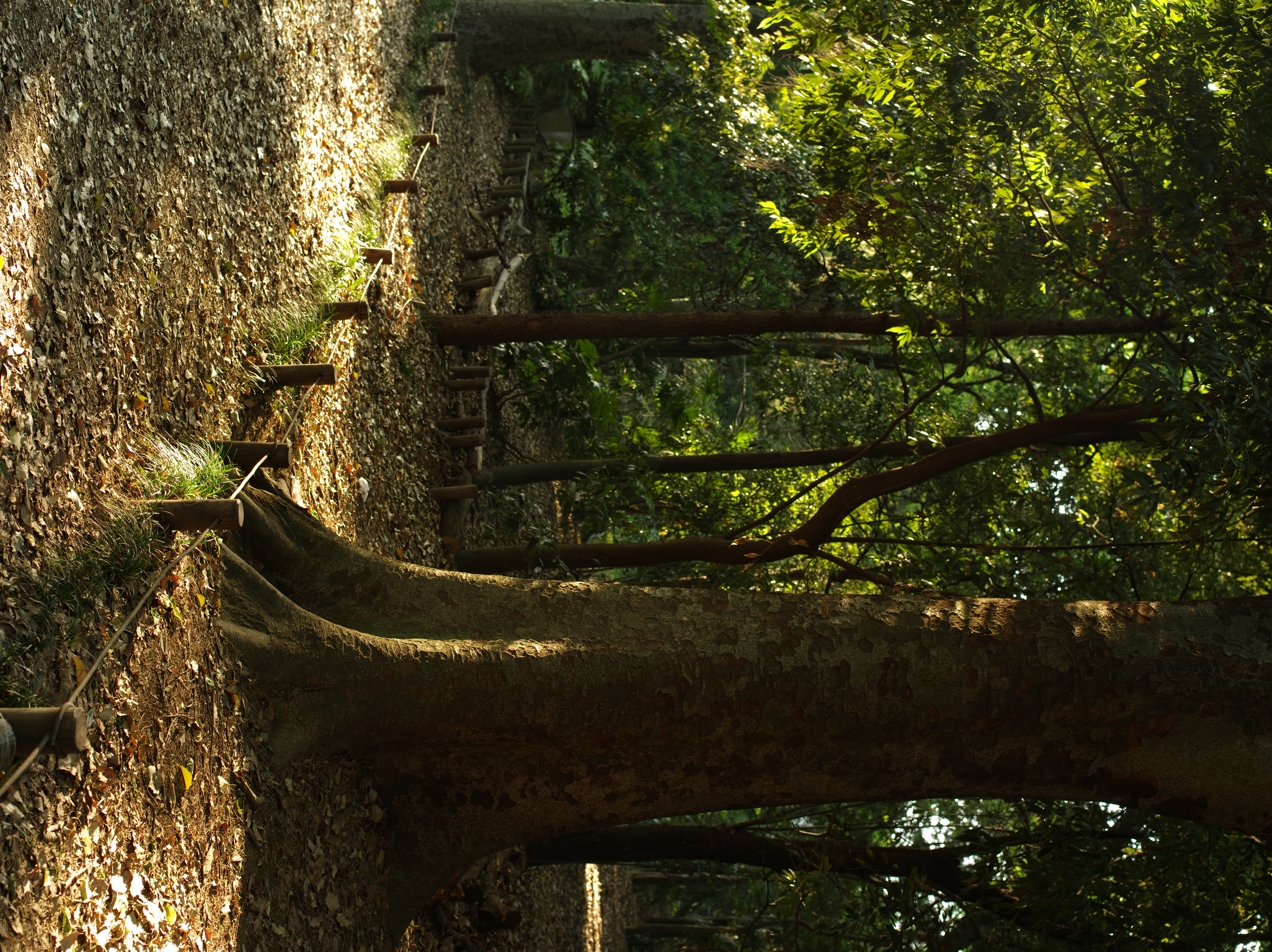 <b>645D / D FA 645 55mm F2.8 AL [IF] SDM AW / 約16.6MB / 5,440×7,264 / 1/8秒 / F6.3 / -0.7EV / ISO200 / WB:オート</b>