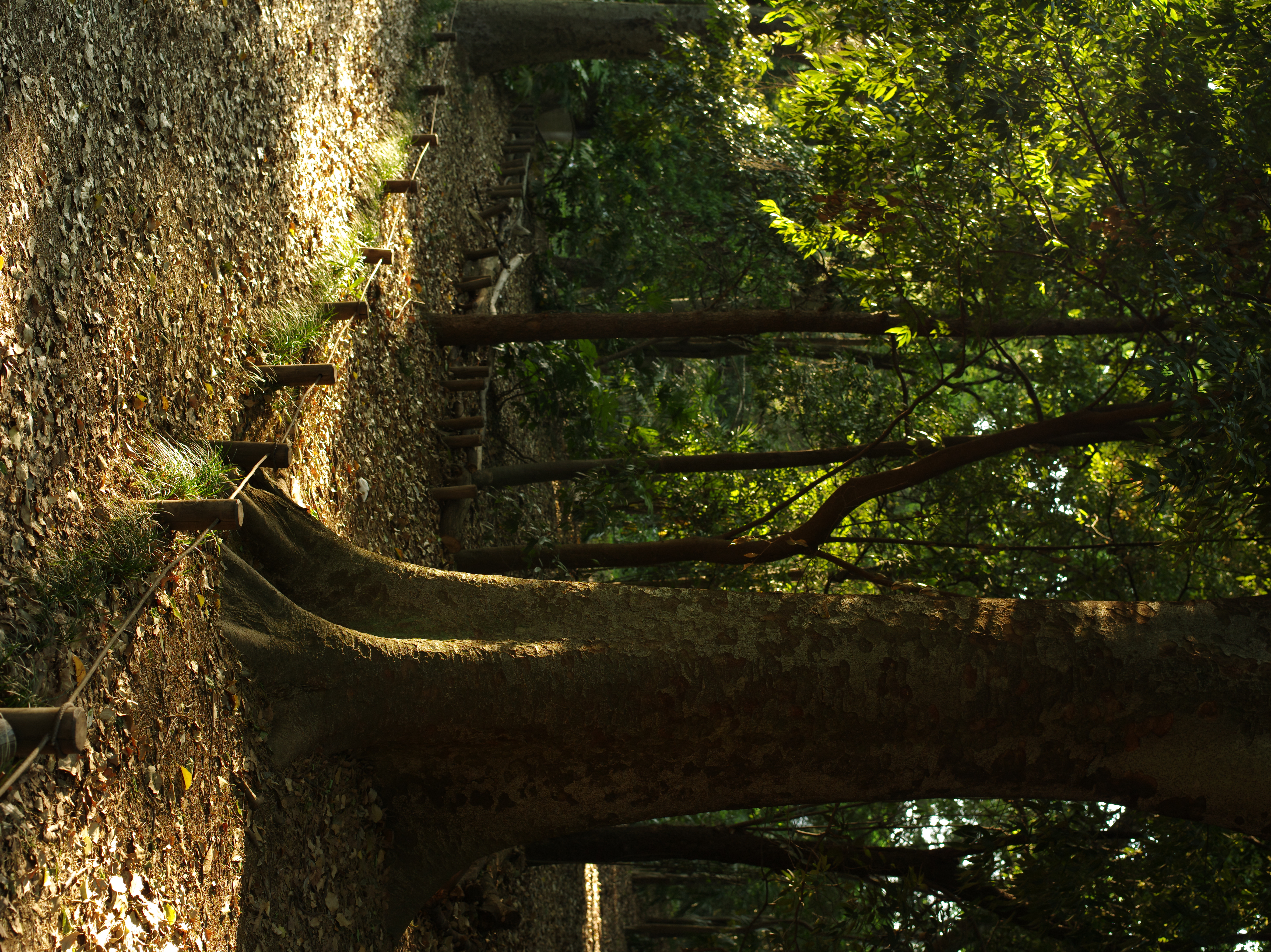 <b>645D / D FA 645 55mm F2.8 AL [IF] SDM AW / 約17.6MB / 5,440×7,264 / 1/15秒 / F6.3 / -0.7EV / ISO400 / WB:オート</b>