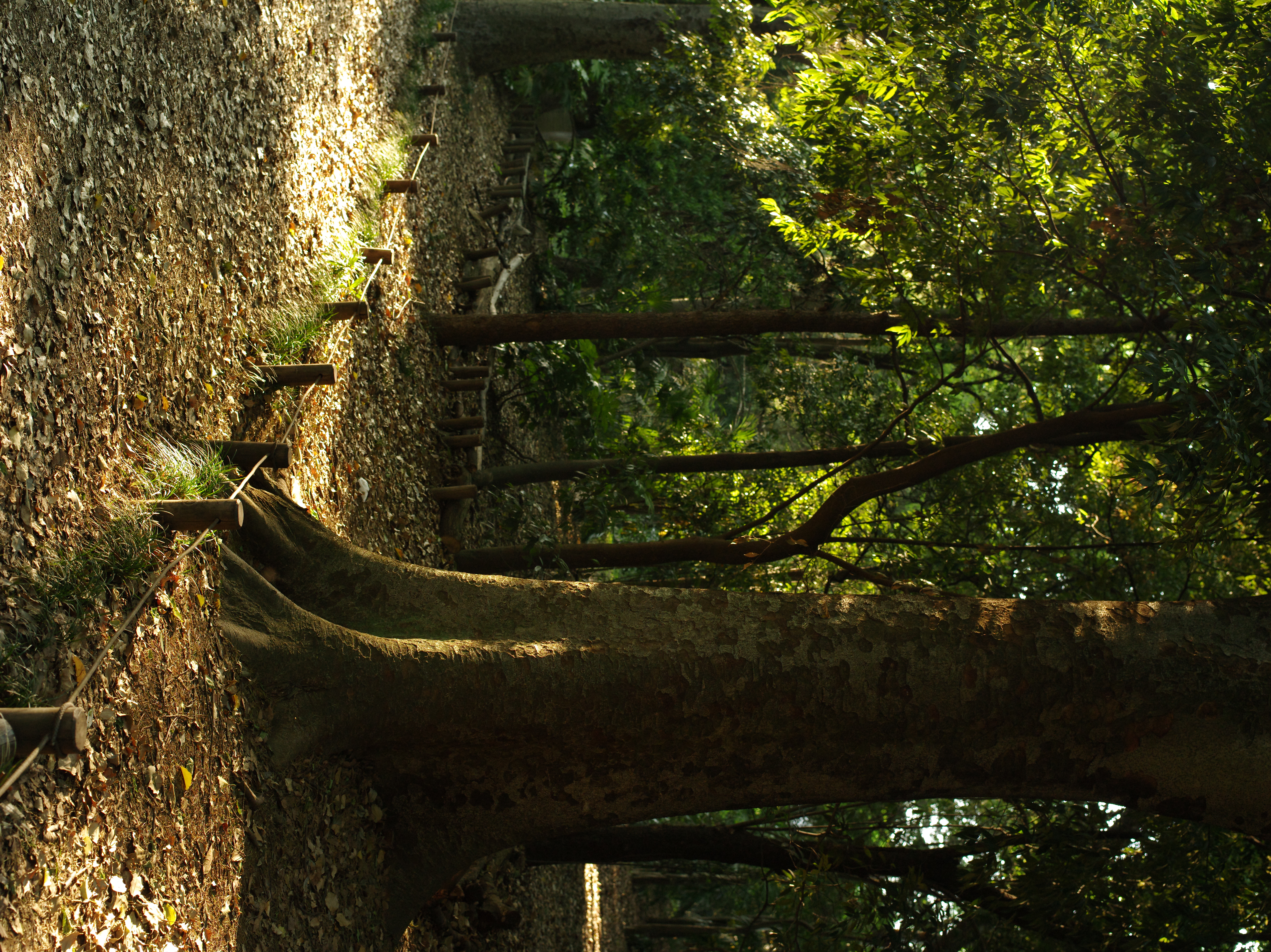 <b>645D / D FA 645 55mm F2.8 AL [IF] SDM AW / 約16.2MB / 5,440×7,264 / 1/40秒 / F6.3 / -0.7EV / ISO1,000 / WB:オート</b>