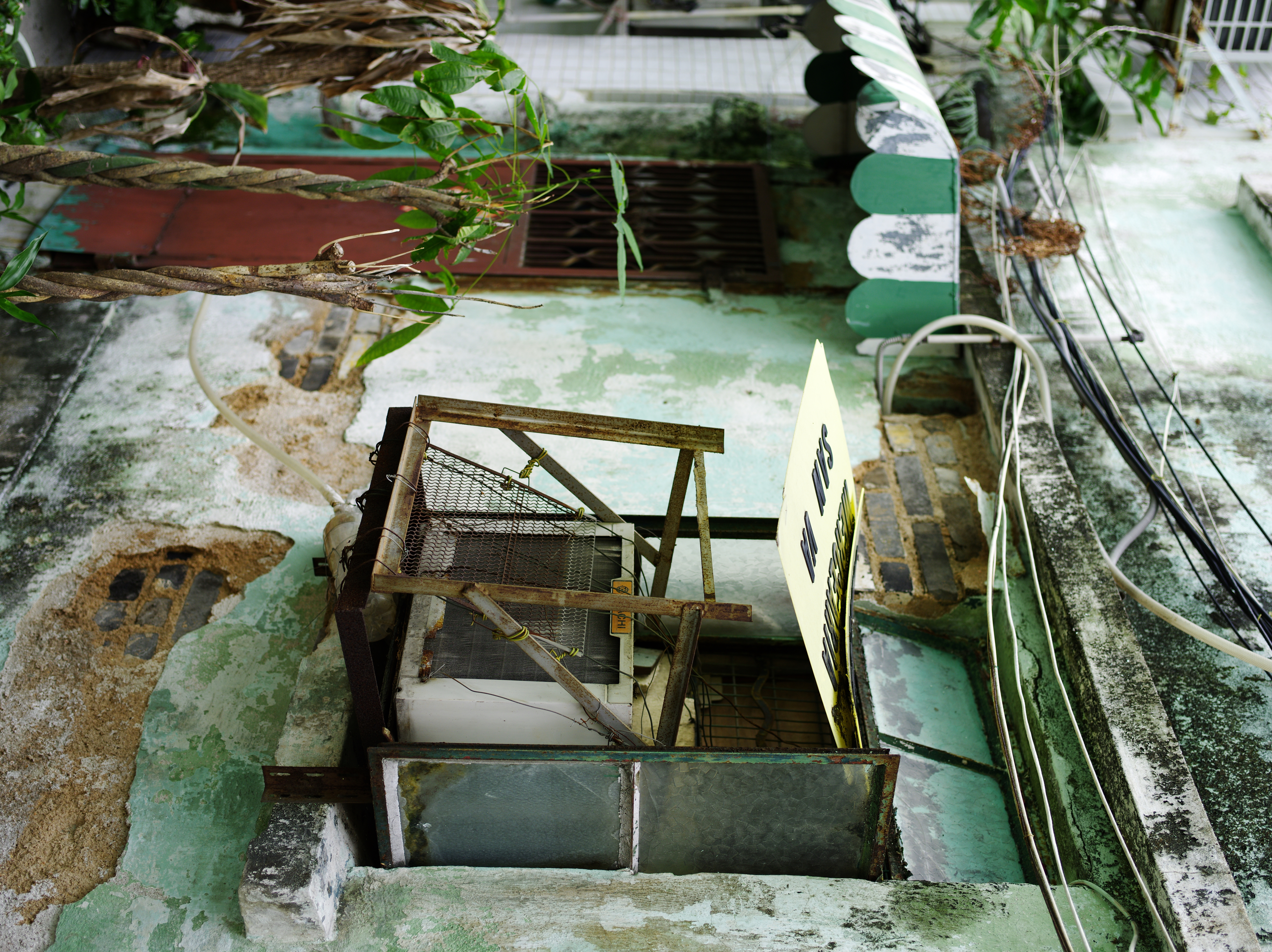 <b>645D / D FA 645 55mm F2.8 AL [IF] SDM AW / 約18.4MB / 5,440×7,264 / 1/500秒 / F3.5 / +1EV / ISO200 / WB:オート</b>