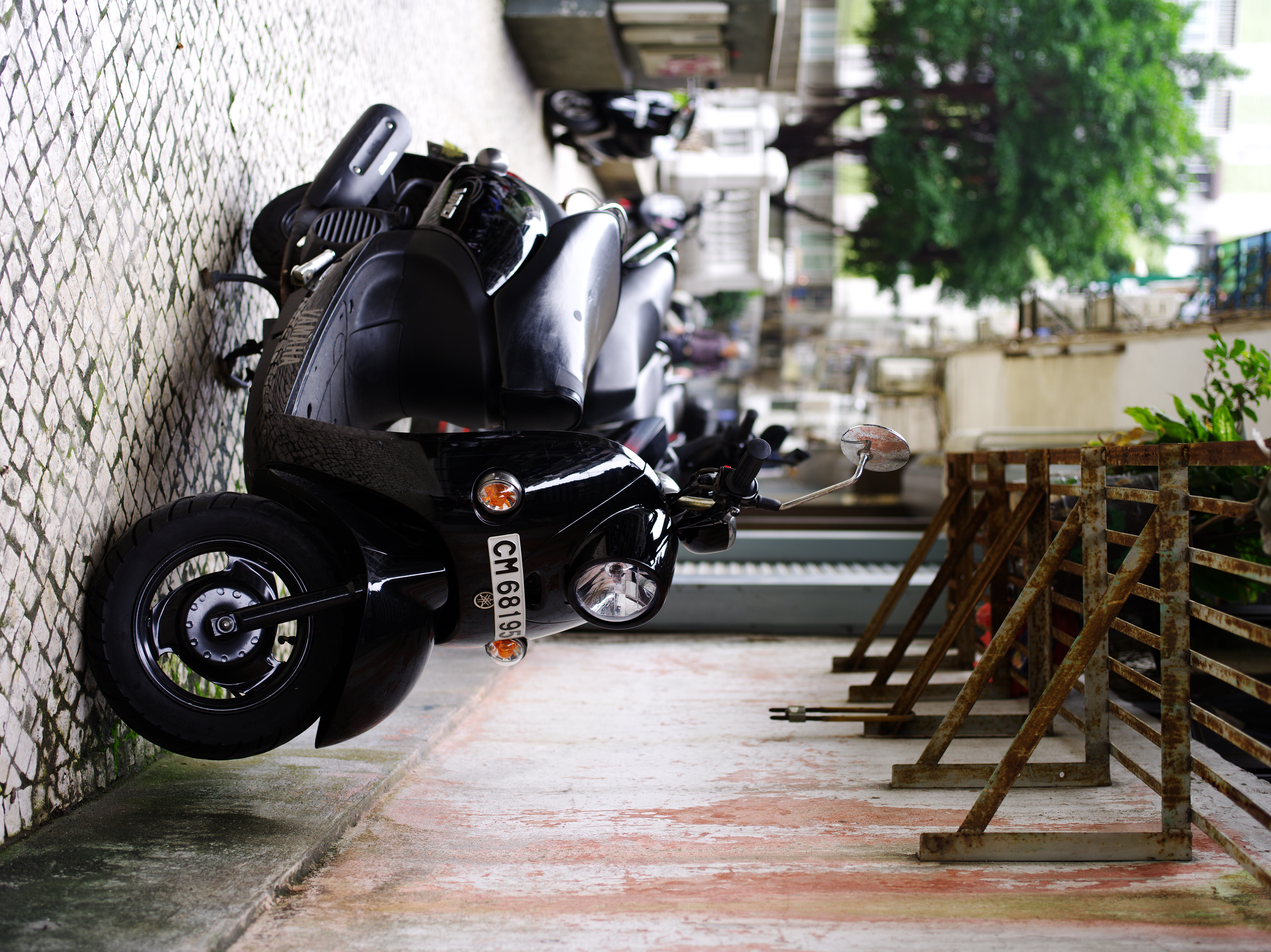 <b>645D / D FA 645 55mm F2.8 AL [IF] SDM AW / 約15.8MB / 5,440×7,264 / 1/200秒 / F3.5 / +0.3EV / ISO200 / WB:オート</b>