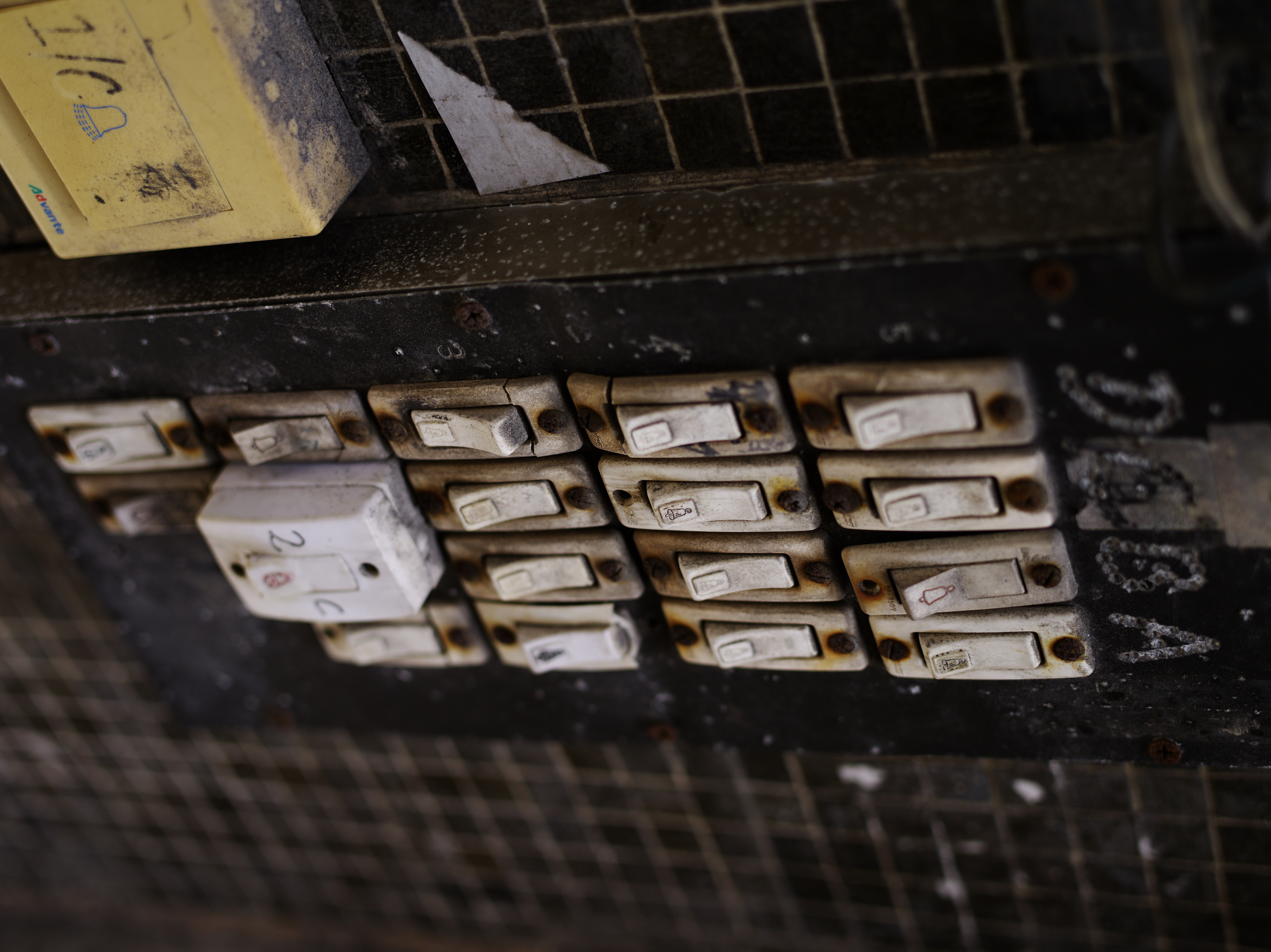 <b>645D / D FA 645 55mm F2.8 AL [IF] SDM AW / 約19.3MB / 5,440×7,264 / 1/500秒 / F3.5 / -0.3EV / ISO200 / WB:オート</b>