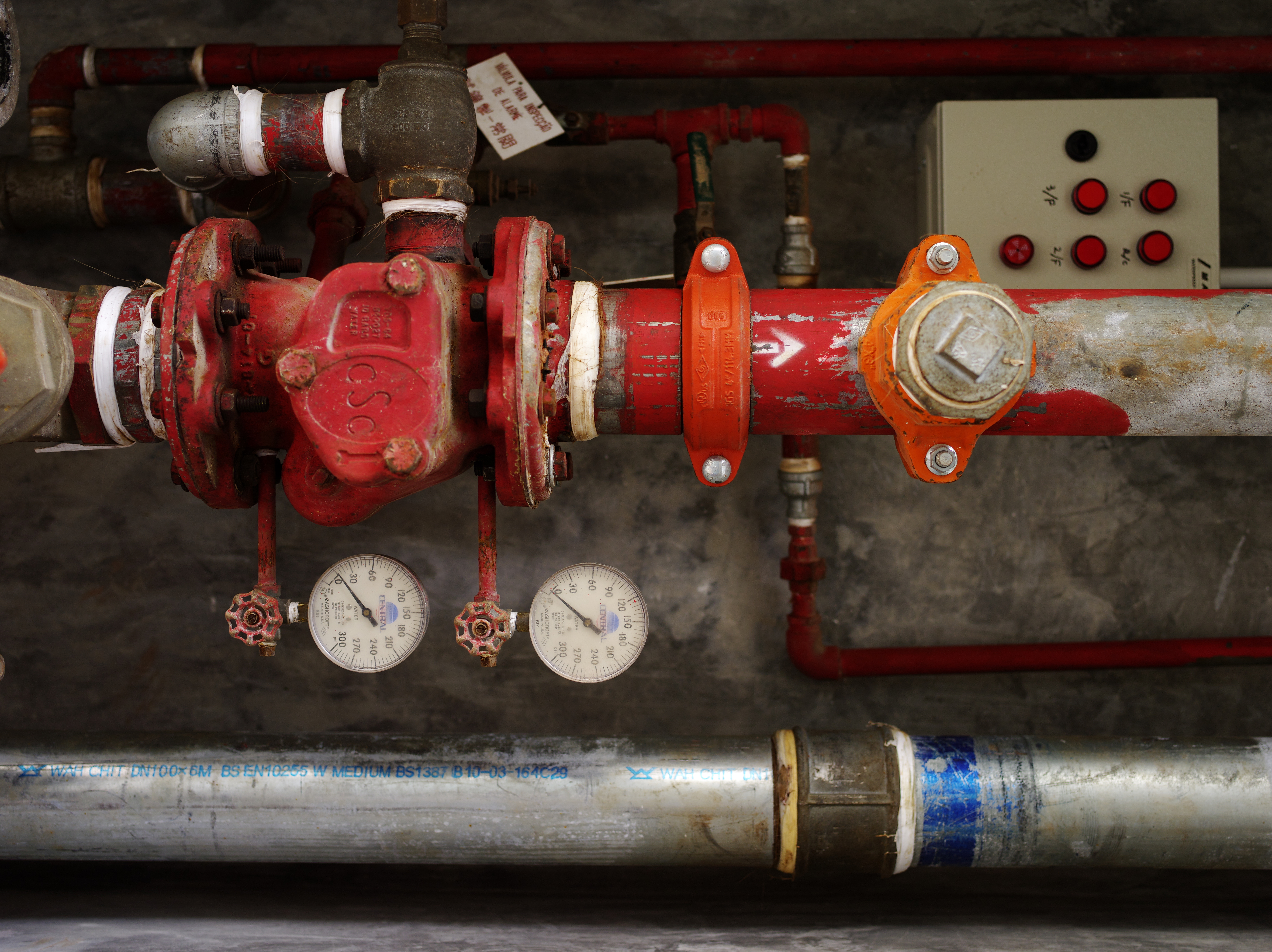 <b>645D / D FA 645 55mm F2.8 AL [IF] SDM AW / 約16.8MB / 5,440×7,264 / 1/200秒 / F3.5 / 0EV / ISO400 / WB:オート</b>