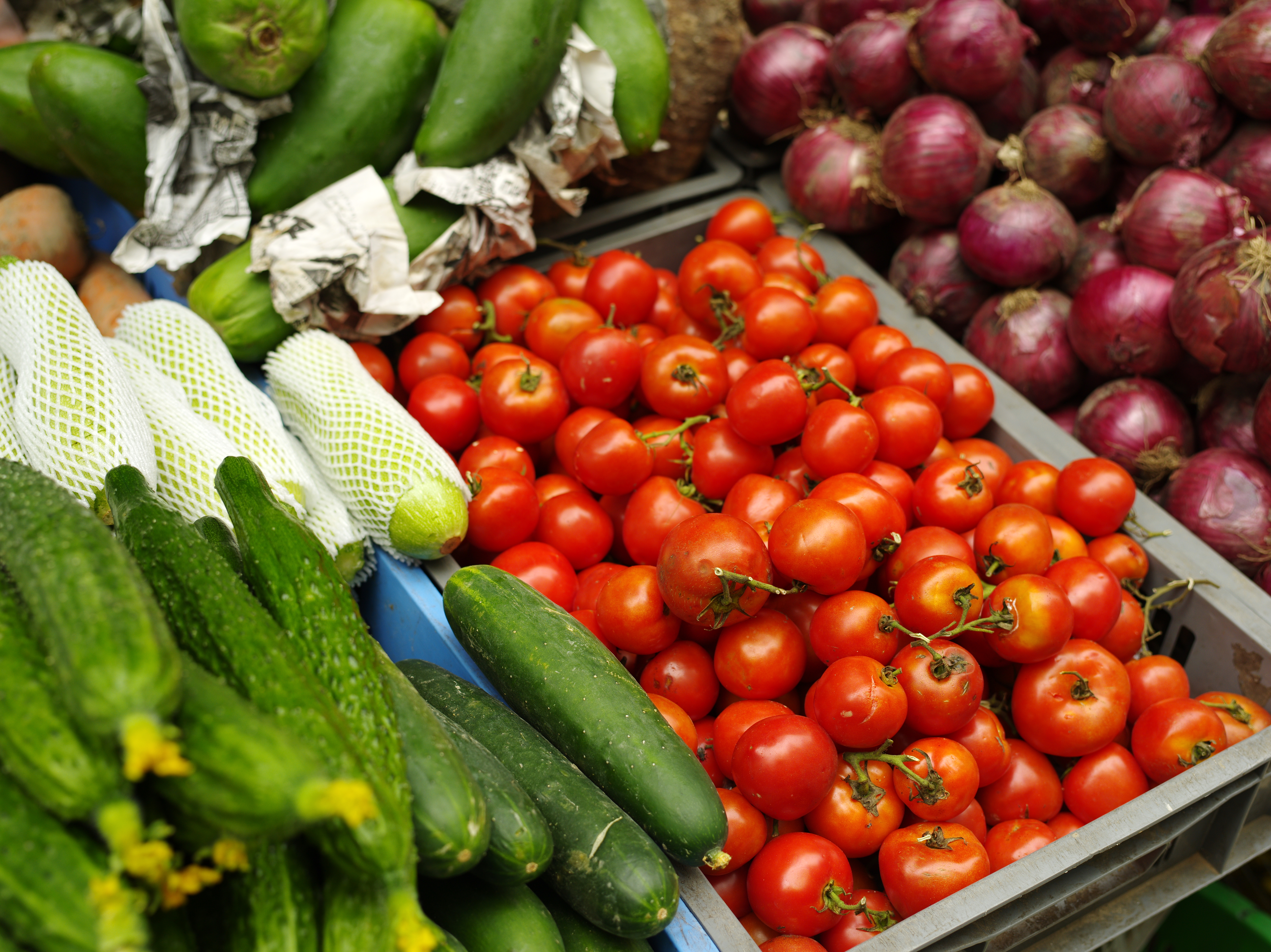 <b>645D / D FA 645 55mm F2.8 AL [IF] SDM AW / 約15.3MB / 7,264×5,440 / 1/125秒 / F5 / +0.7EV / ISO200 / WB:オート</b>