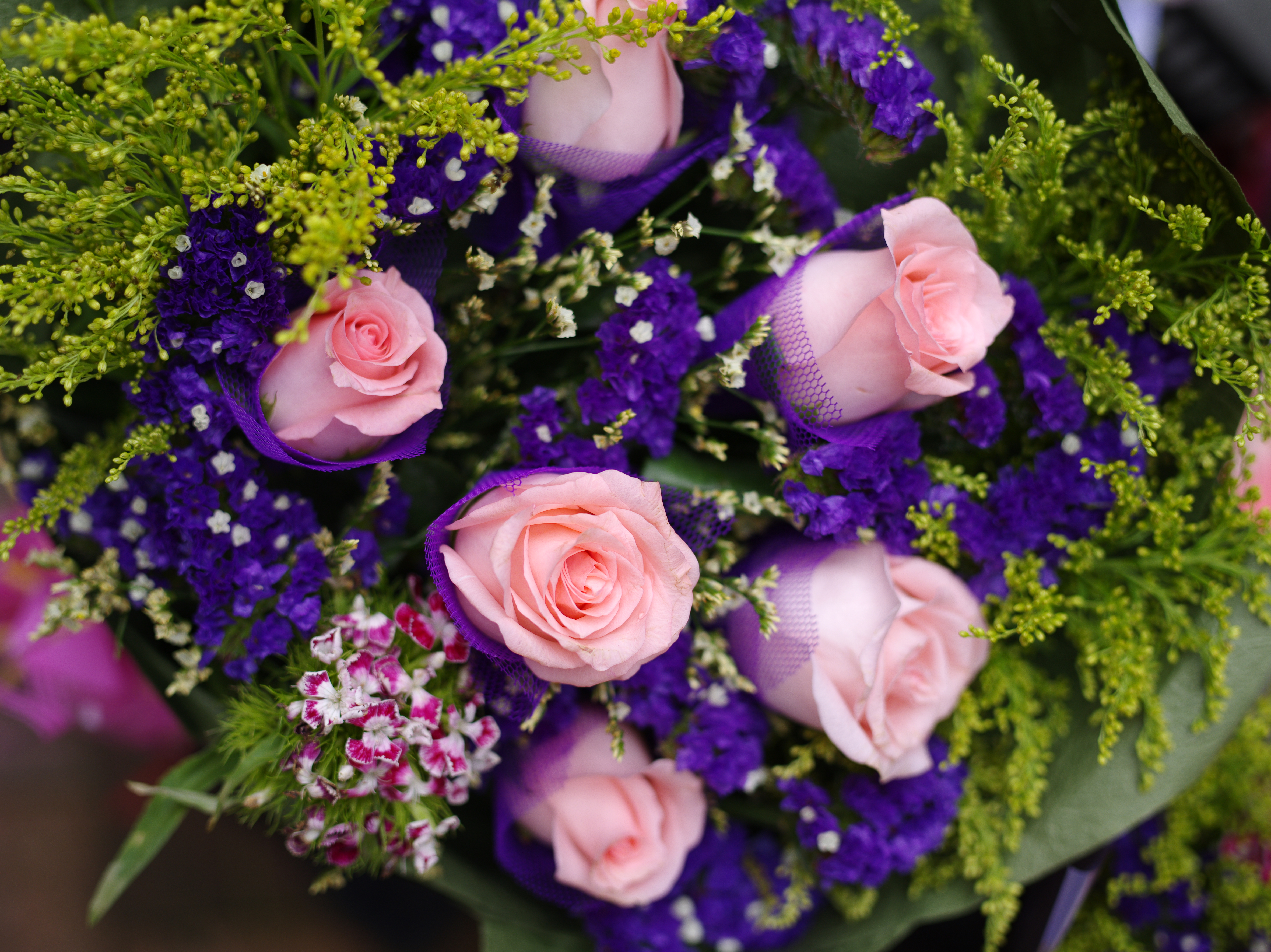 <b>645D / D FA 645 55mm F2.8 AL [IF] SDM AW / 約15.9MB / 5,440×7,264 / 1/500秒 / F3.5 / +0.3EV / ISO200 / WB:オート</b>