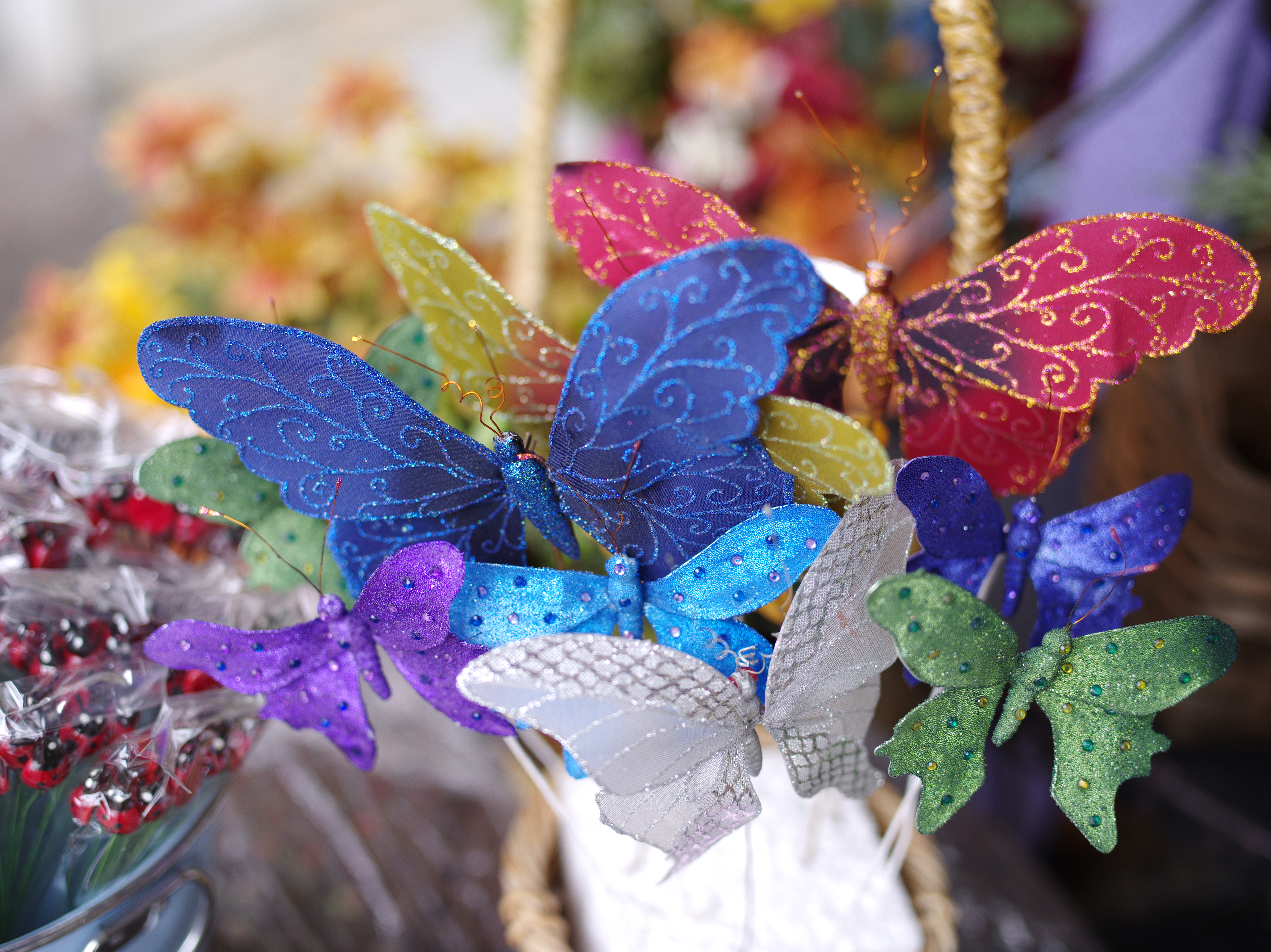 <b>645D / D FA 645 55mm F2.8 AL [IF] SDM AW / 約15.6MB / 7,264×5,440 / 1/200秒 / F2.8 / +1.3EV / ISO200 / WB:オート</b>