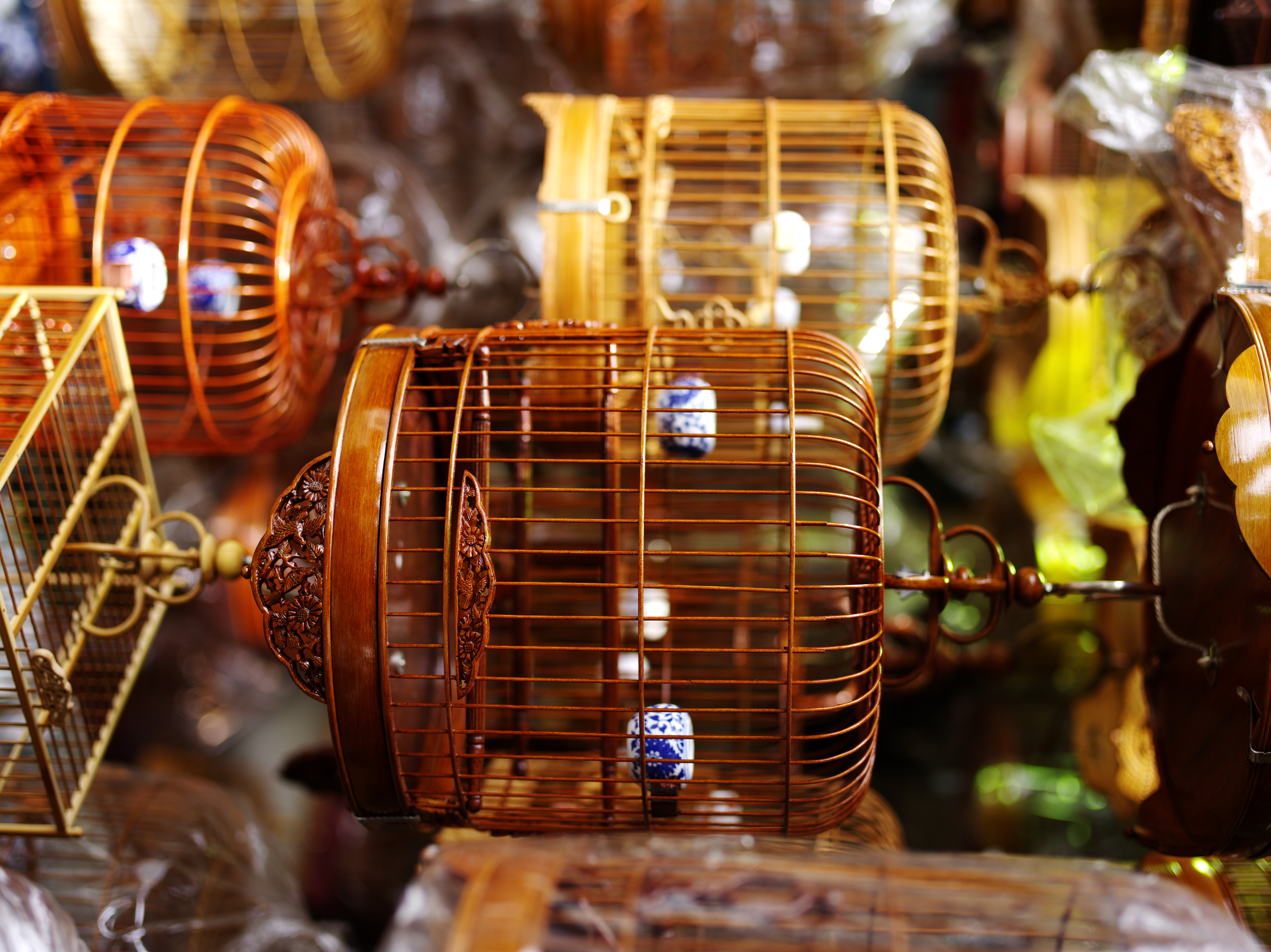 <b>645D / D FA 645 55mm F2.8 AL [IF] SDM AW / 約16.4MB / 5,440×7,264 / 1/200秒 / F3.2 / +0.3EV / ISO200 / WB:オート</b>