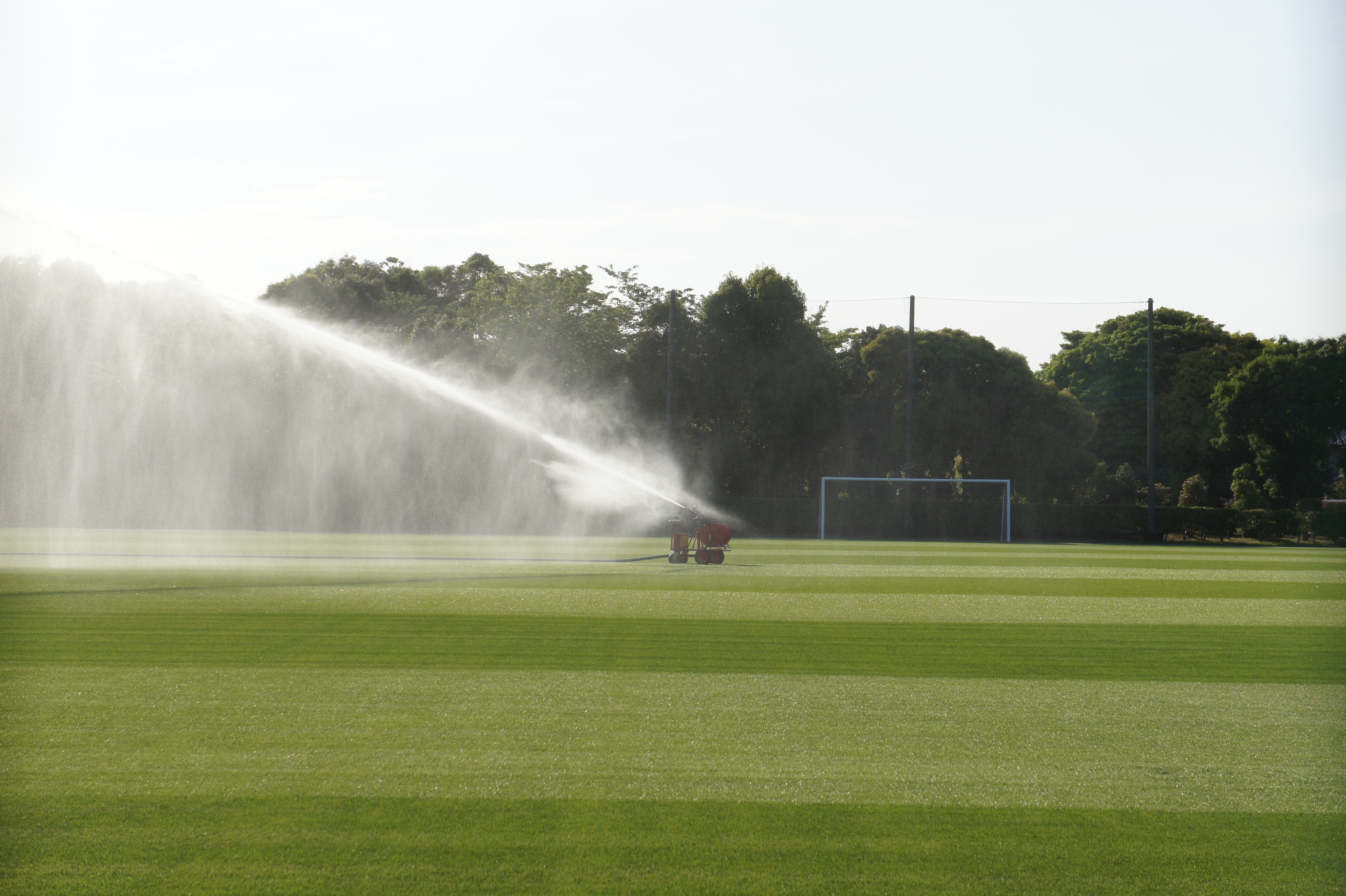 <b>NEX-5 / E 18-55mm F3.5-5.6 OSS / 約4.3MB / 4,592×3,056 / 1/320秒 / F10 / 0EV / ISO200 / WB:オート / 55mm</b>