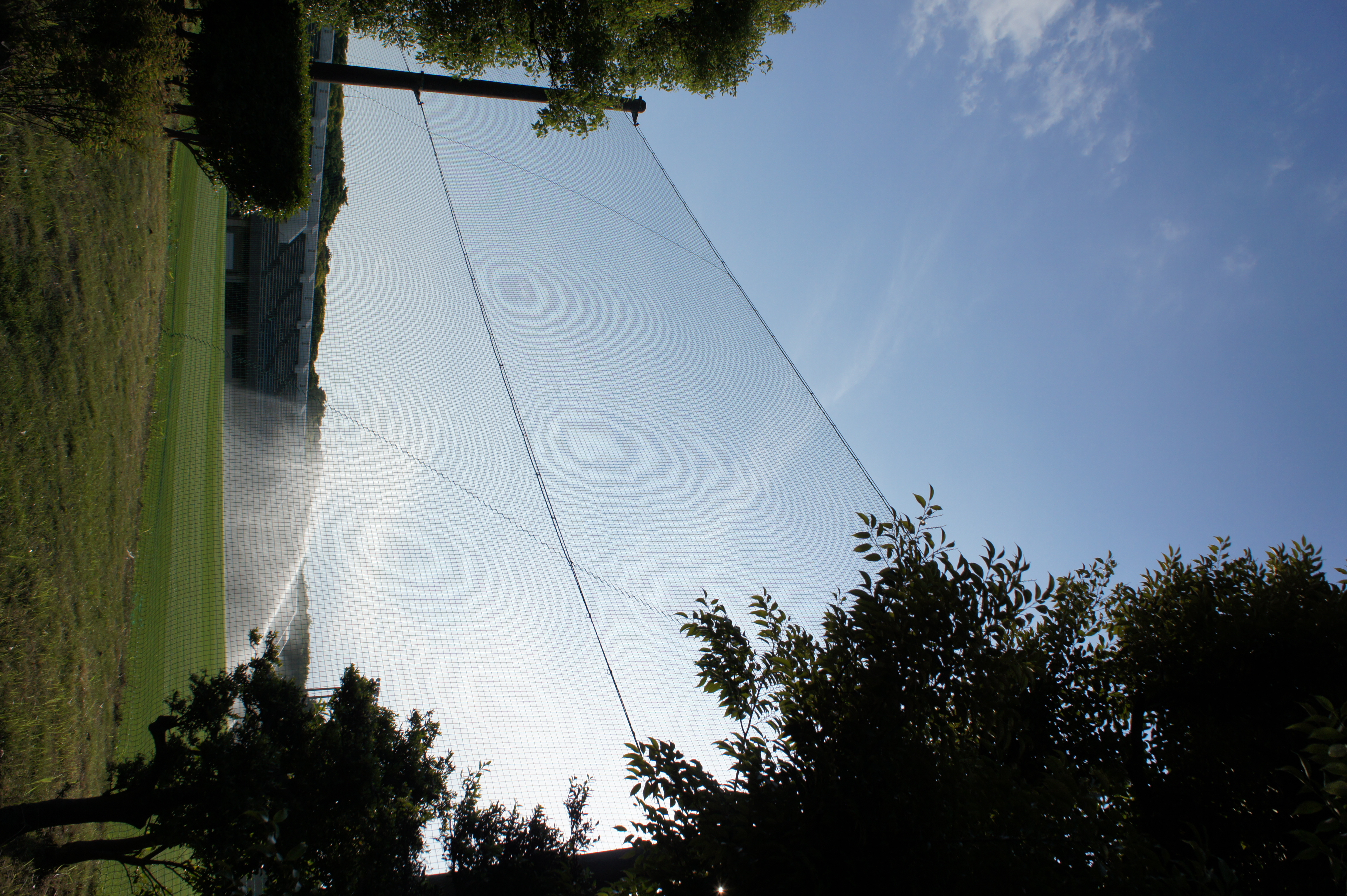 <b>NEX-5 / E 18-55mm F3.5-5.6 OSS / 約6.1MB / 3056x4592 / 1/1,250秒 / F8 / 0EV / ISO200 / WB:オート / 18mm</b>