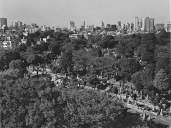 <b>(c)大河原光</b>