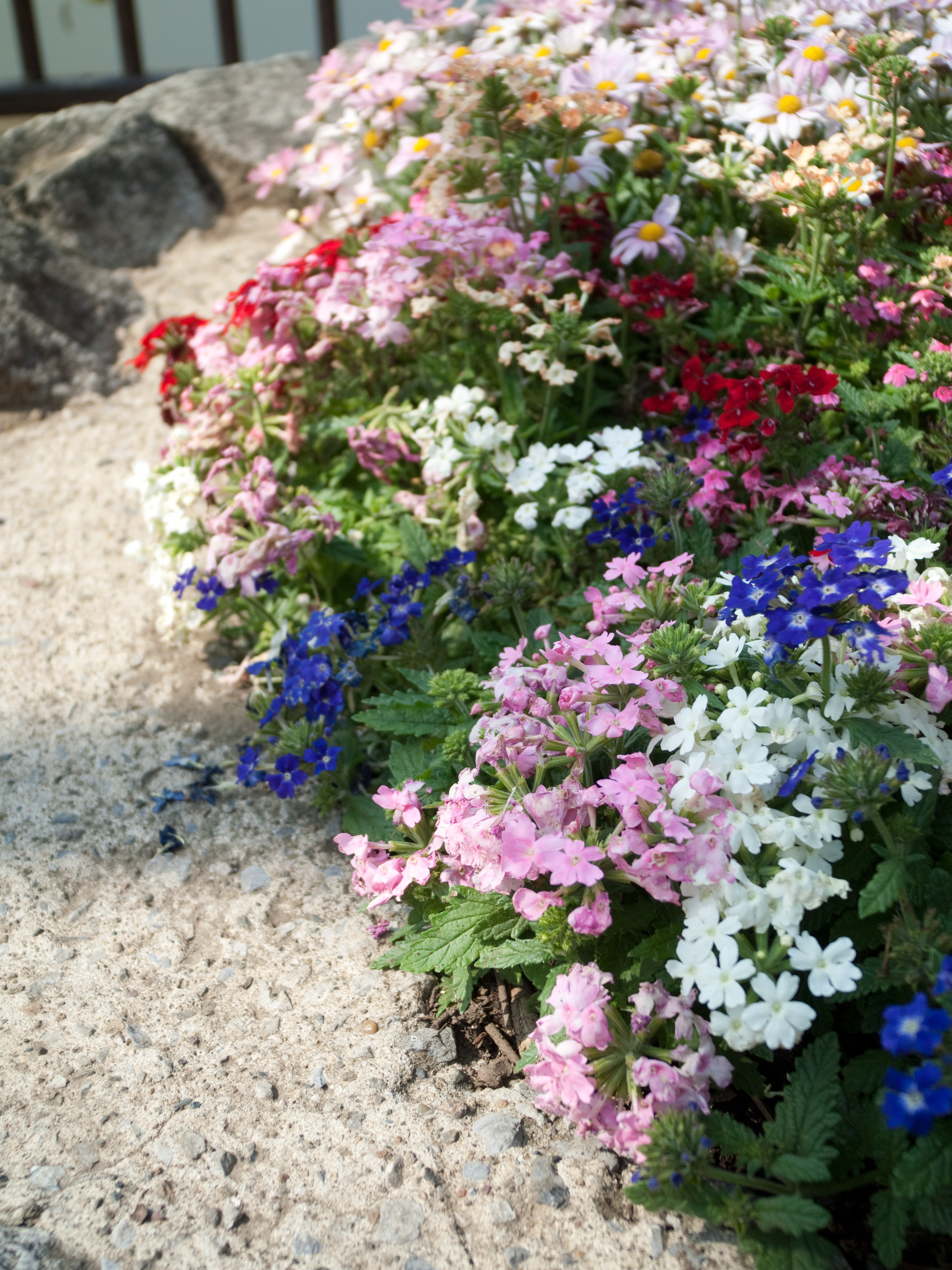 <b>E-P2 / GR LENS 21mm F3.5 / 4,032×3,024 / 1/800秒 / F3.5 / +0.3EV / ISO200 / WB:オート / 21mm</b>