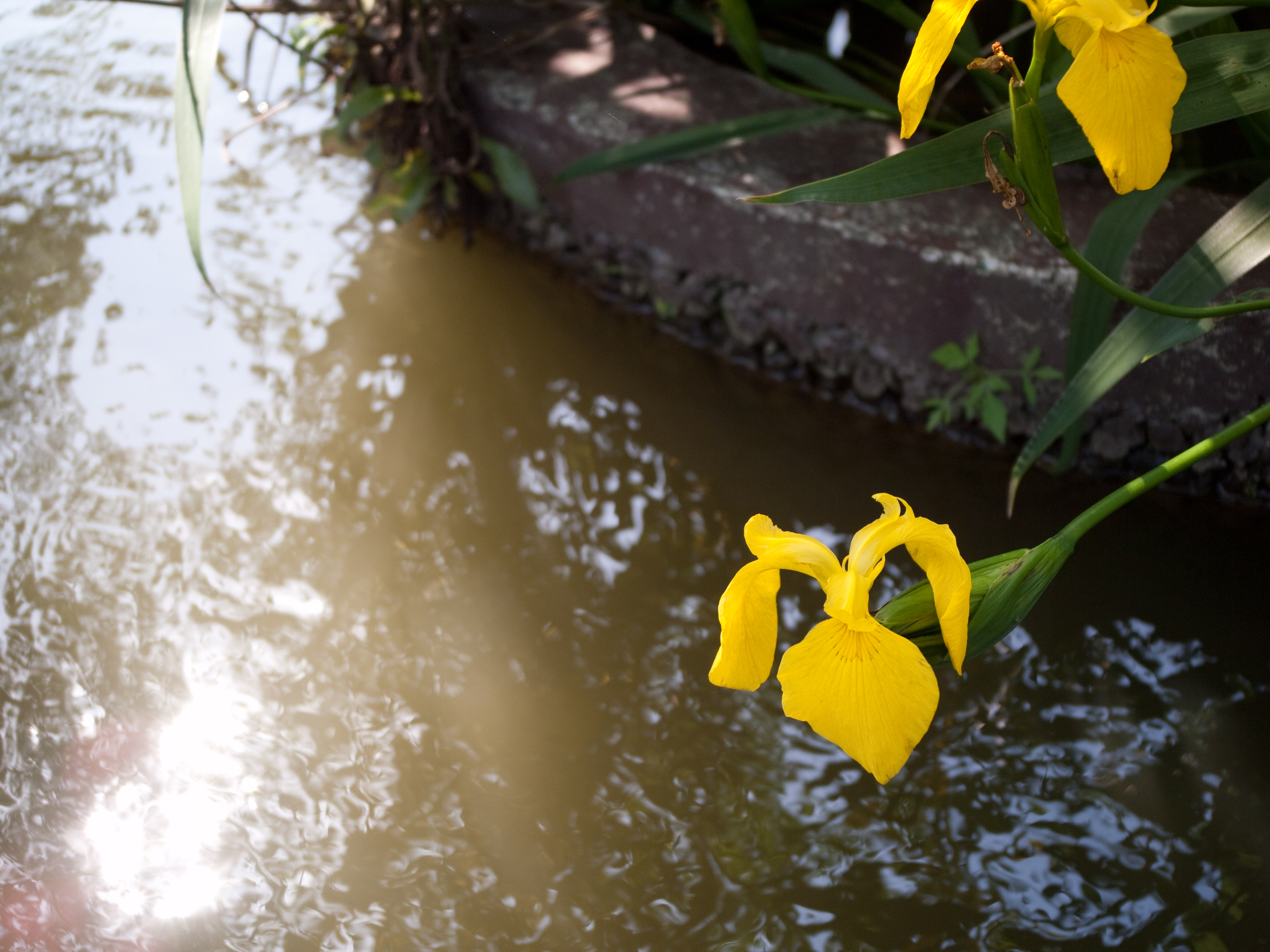 <b>E-P2 / GR LENS 21mm F3.5 / 4,032×3,024 / 1/160秒 / F4 / 0EV / ISO200 / WB:オート / 21mm</b>