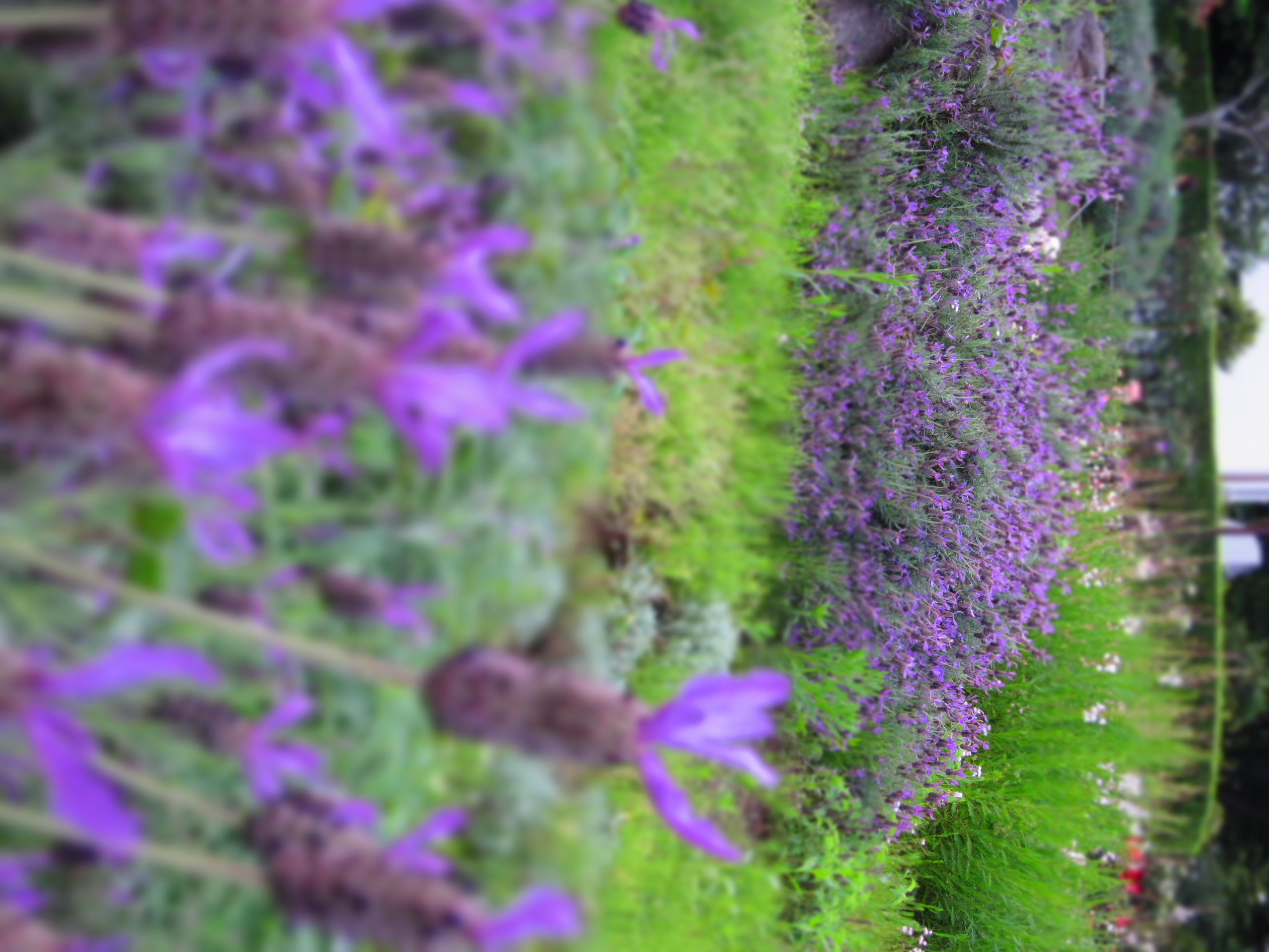 <b>ジオラマ風モード<br>IXY 30S / 約1.5MB / 2,736×3,648 / 1/100秒 / F4.5 / 0EV / ISO500 / WB:オート / 11.0mm</b>