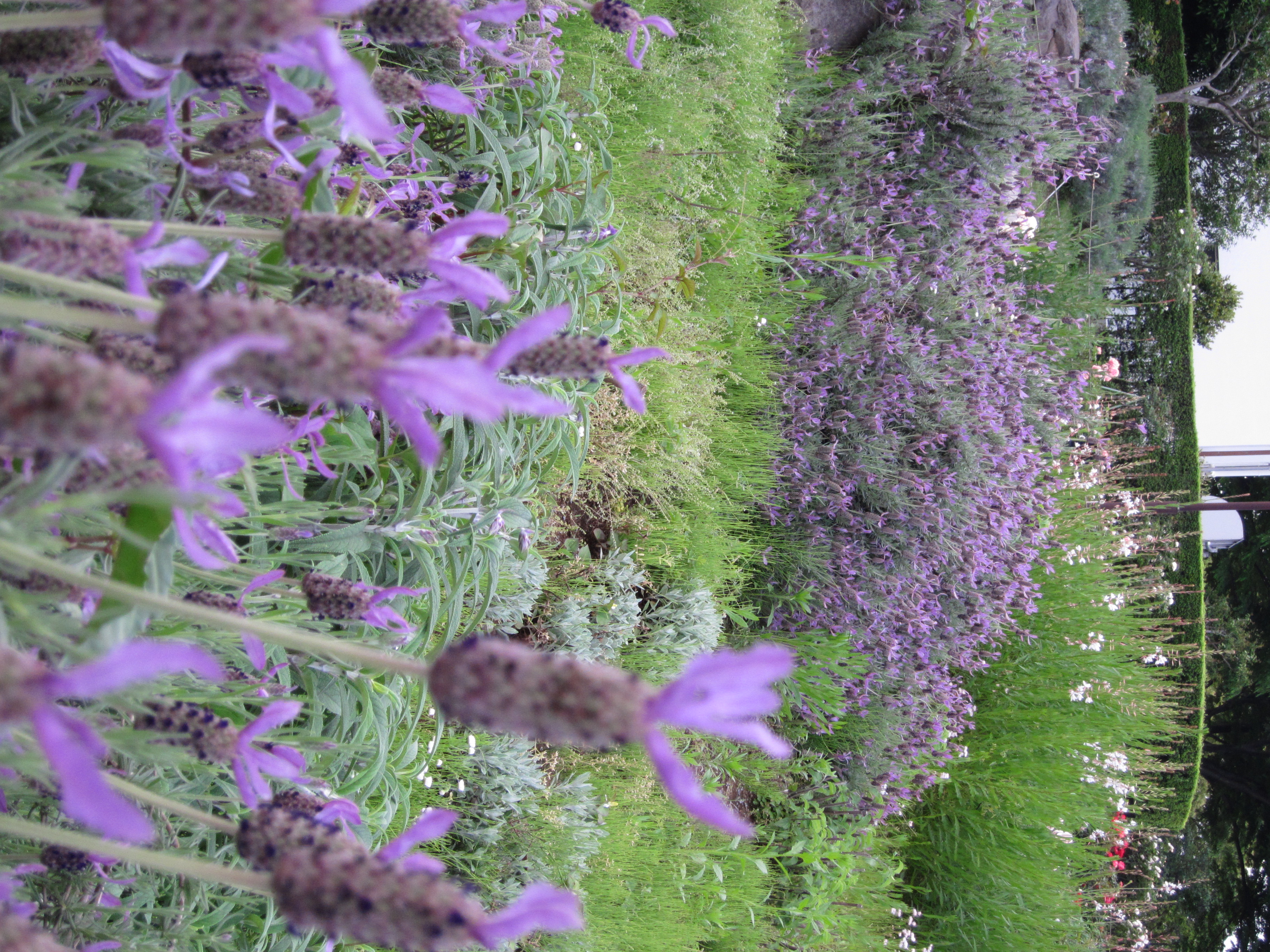 <b>通常撮影<br>IXY 30S / 約3.6MB / 2,736×3,648 / 1/80秒 / F4.5 / 0EV / ISO400 / WB:オート / 11.0mm</b>