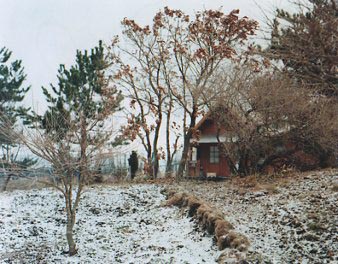 <b>（c）清水さち子</b>