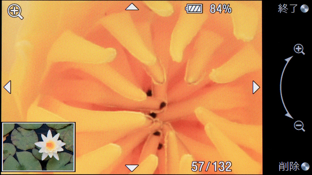 <b>こちらは再生時の拡大表示（めいっぱい倍率を上げた状態）。倍率の変更はホイールを回すだけの簡単操作</b>