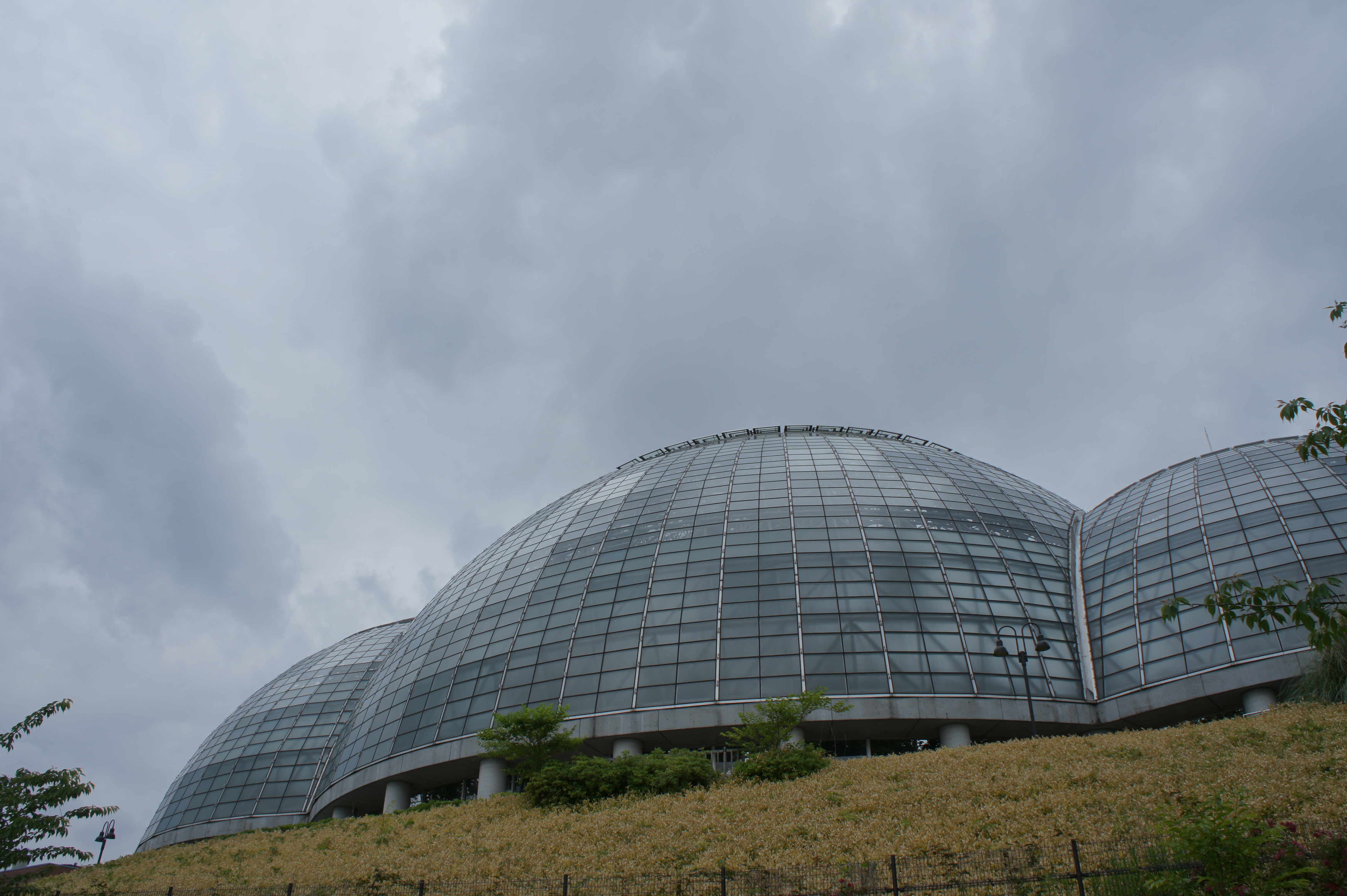 <b>オートHDR：オート<br>NEX-5 / E 18-55mm F3.5-5.6 OSS / 4,592×3,056 / 1/500秒 / F8 / 0EV / ISO200 / WB:晴天 / 18mm</b>