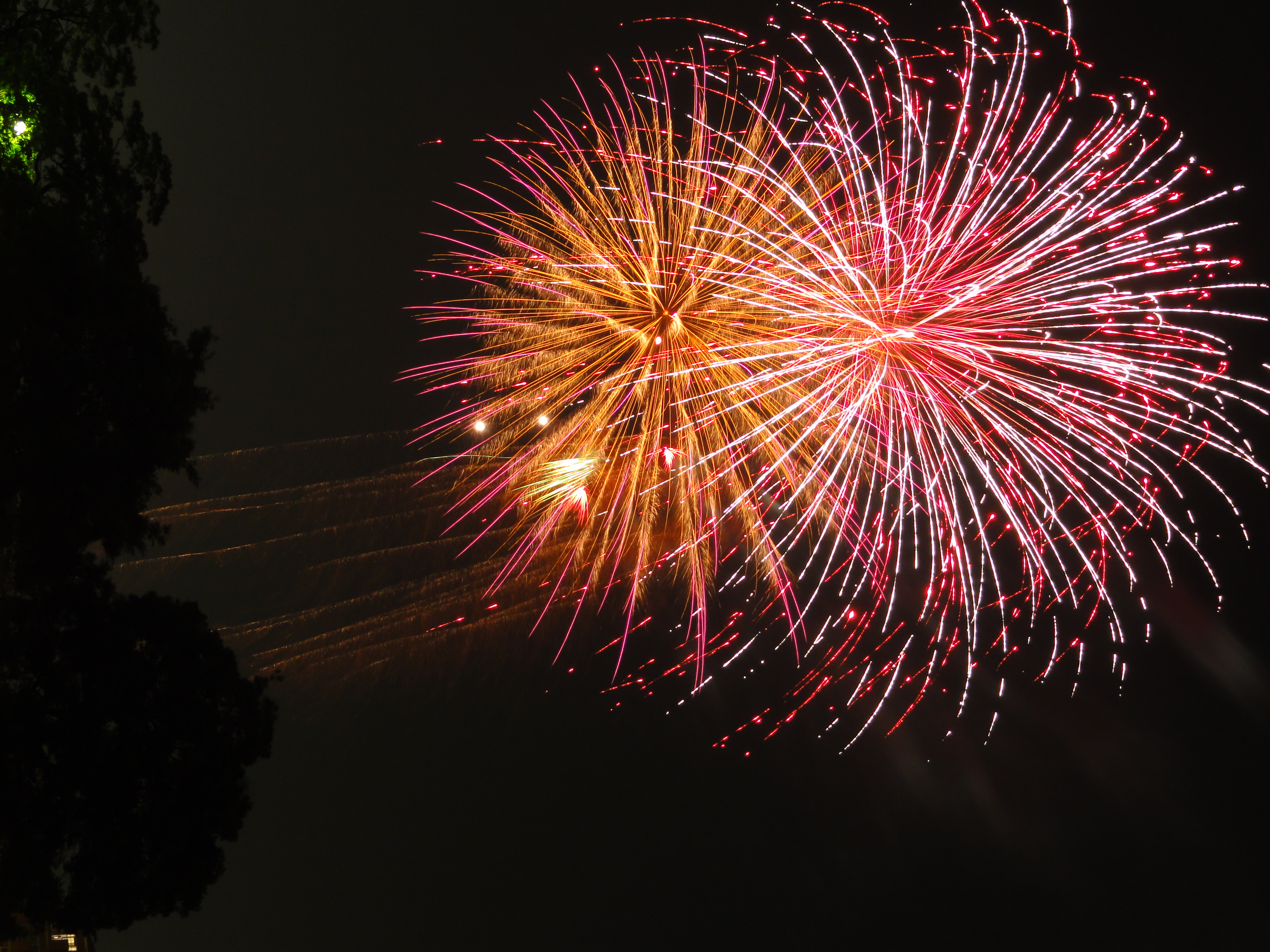 <b>露出補正は+2EVにするとシャッター速度は上限の8秒となる。ノイズリダクションも含めると16秒の撮影となる<br>DSC-HX5V / 約4.2MB / 2,736×3,648 / 8秒 / F10 / +2.0EV / ISO125 / WB:オート / 10mm</b>