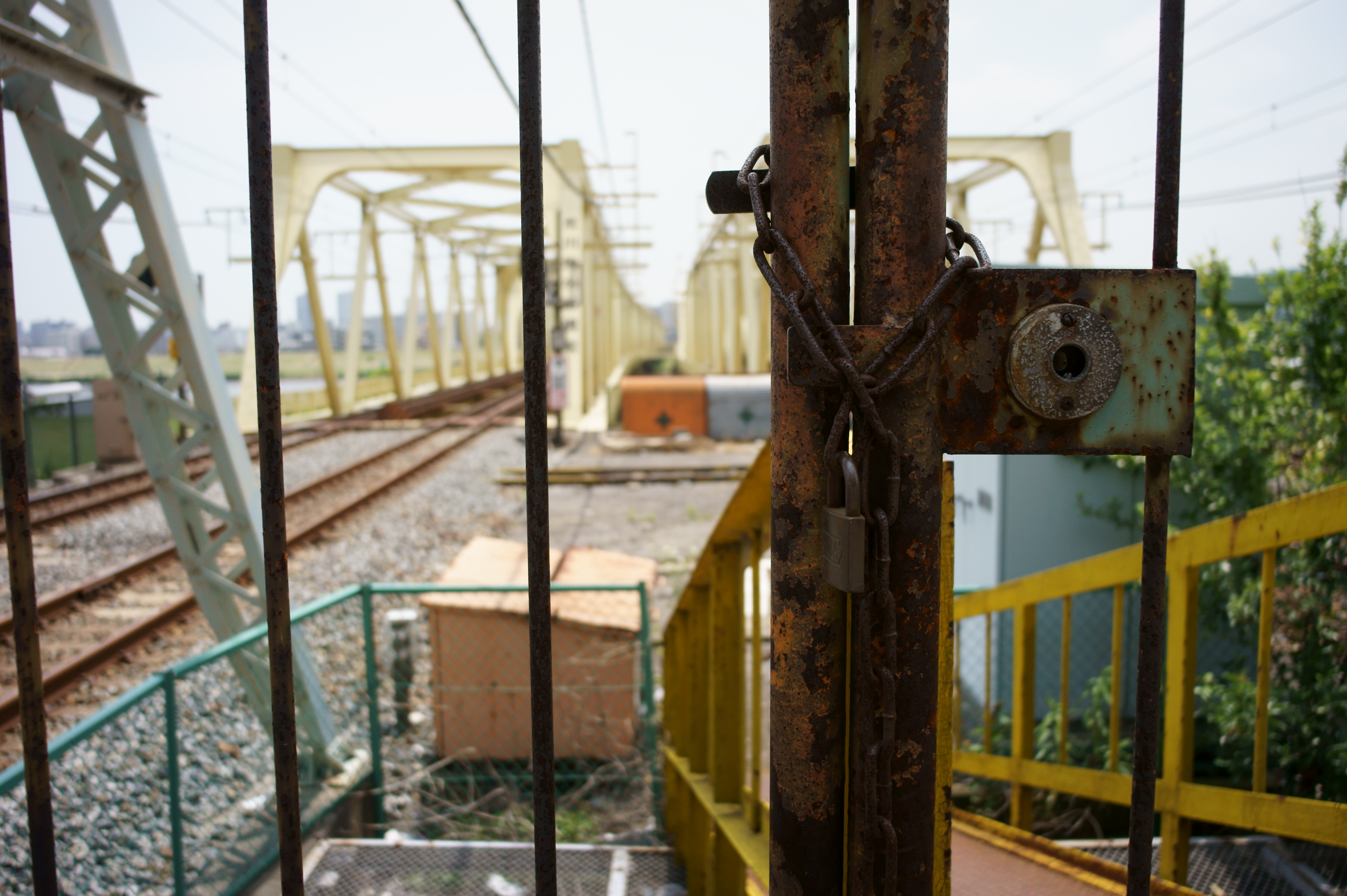 <b>NEX-5 / スーパーエルマーM 18mm F3.8 ASPH. / 4,592×3,056 / 1/1,600秒 / F3.8 / 0EV / ISO200 / WB:オート / 18mm</b>