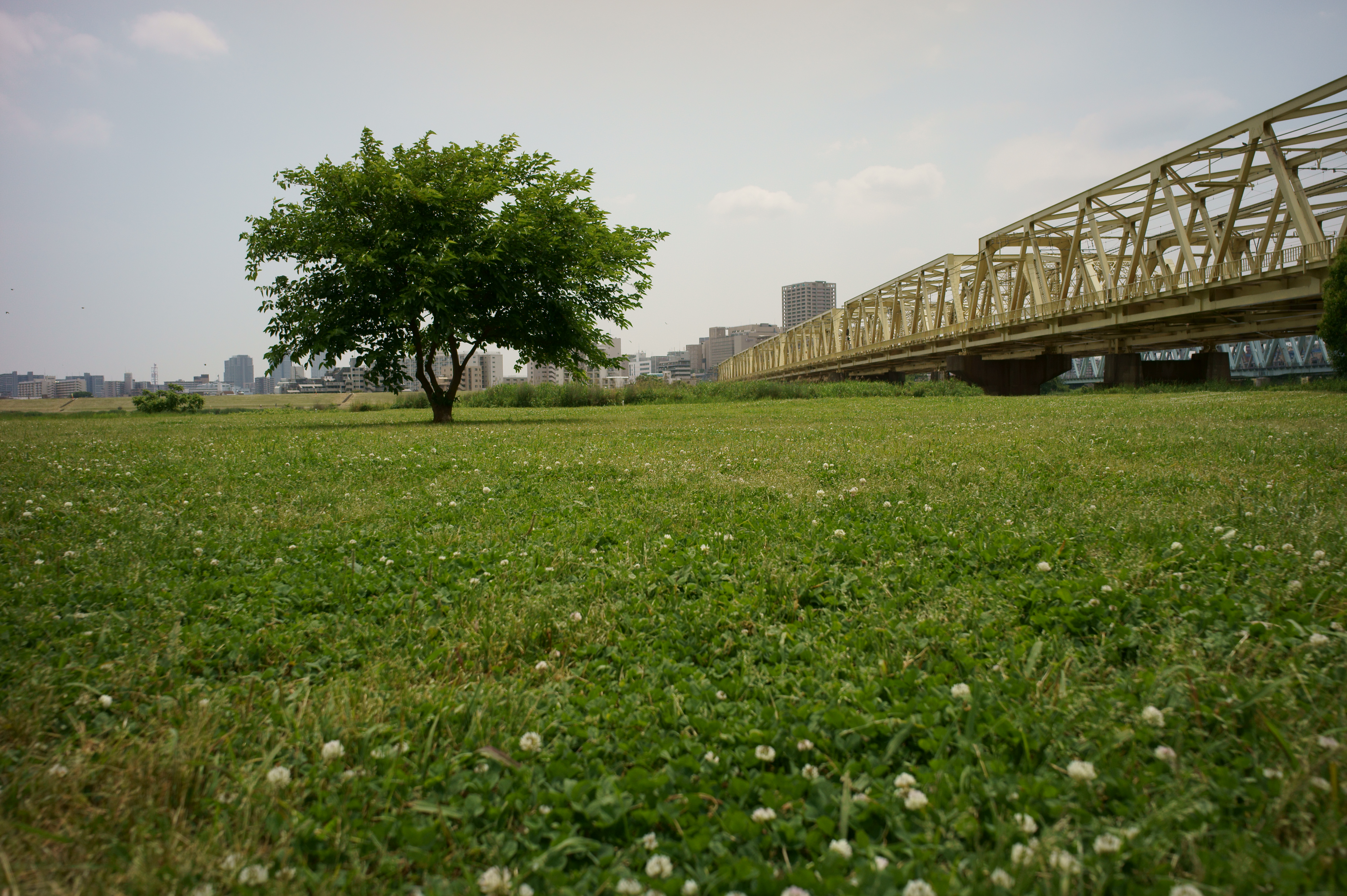 <b>NEX-5 / スーパーエルマーM 18mm F3.8 ASPH. / 4,592×3,056 / 1/2,000秒 / F5.6 / 0EV / ISO200 / WB:オート / 18mm</b>