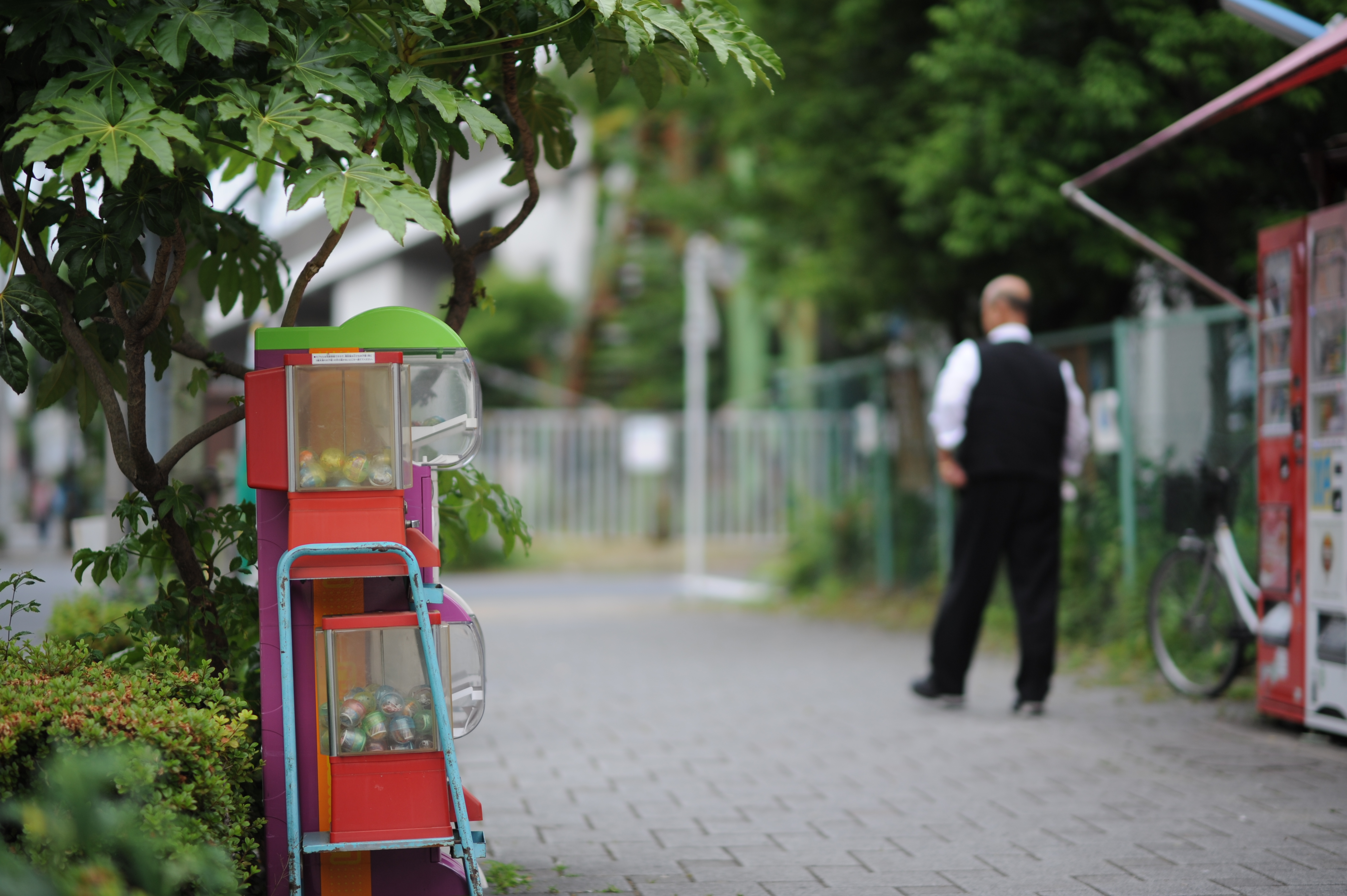 <b>D700 / 85mm F1.4 Aspherical IF / 4,256×2,832 / 1/800秒 / F1.4 / 0EV / ISO200 / 絞り優先AE / WB:オート / 85mm</b>