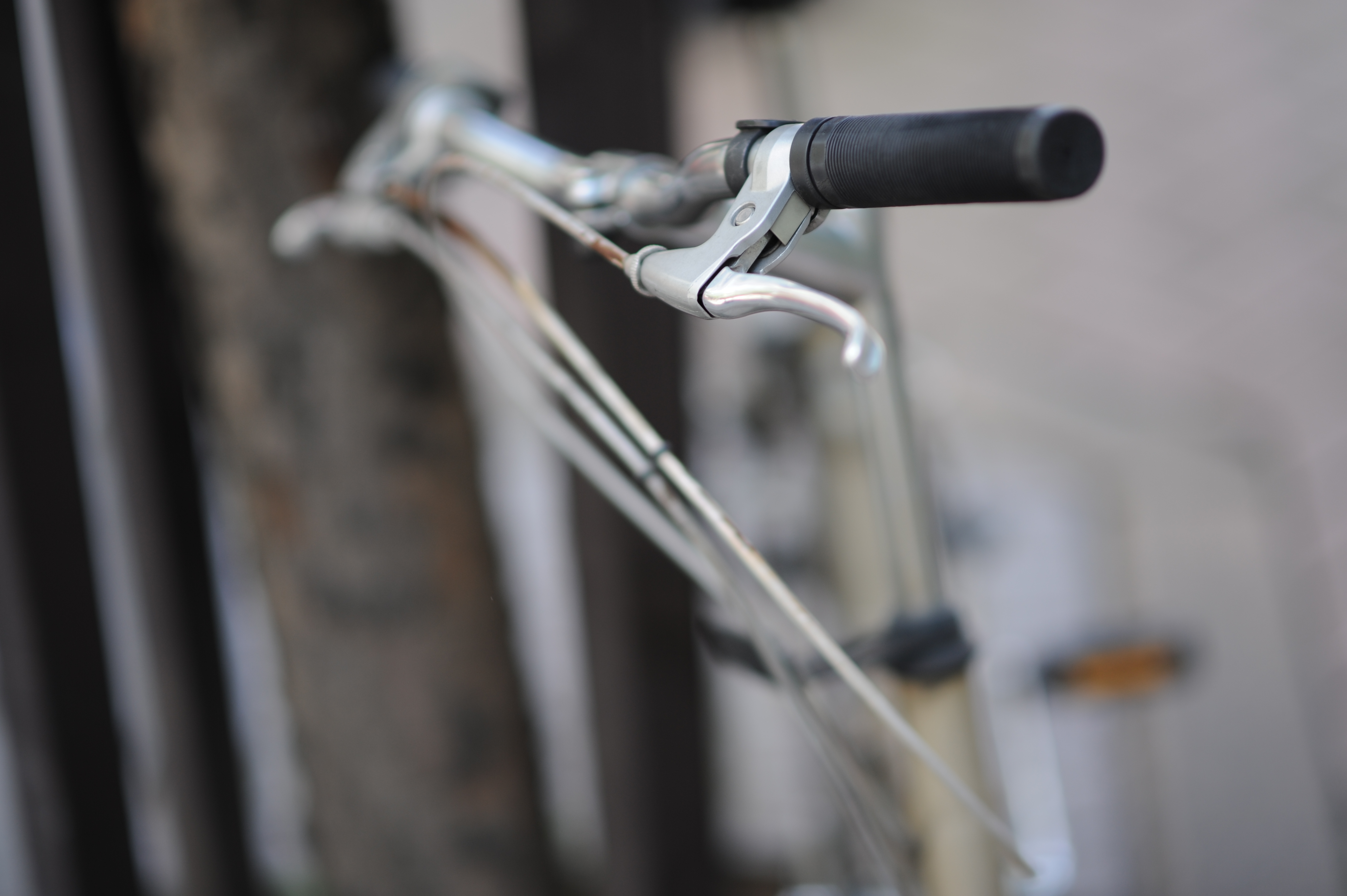 <b>D700 / 85mm F1.4 Aspherical IF / 4,256×2,832 / 1/640秒 / F1.4 / 0EV / ISO200 / 絞り優先AE / WB:オート / 85mm</b>